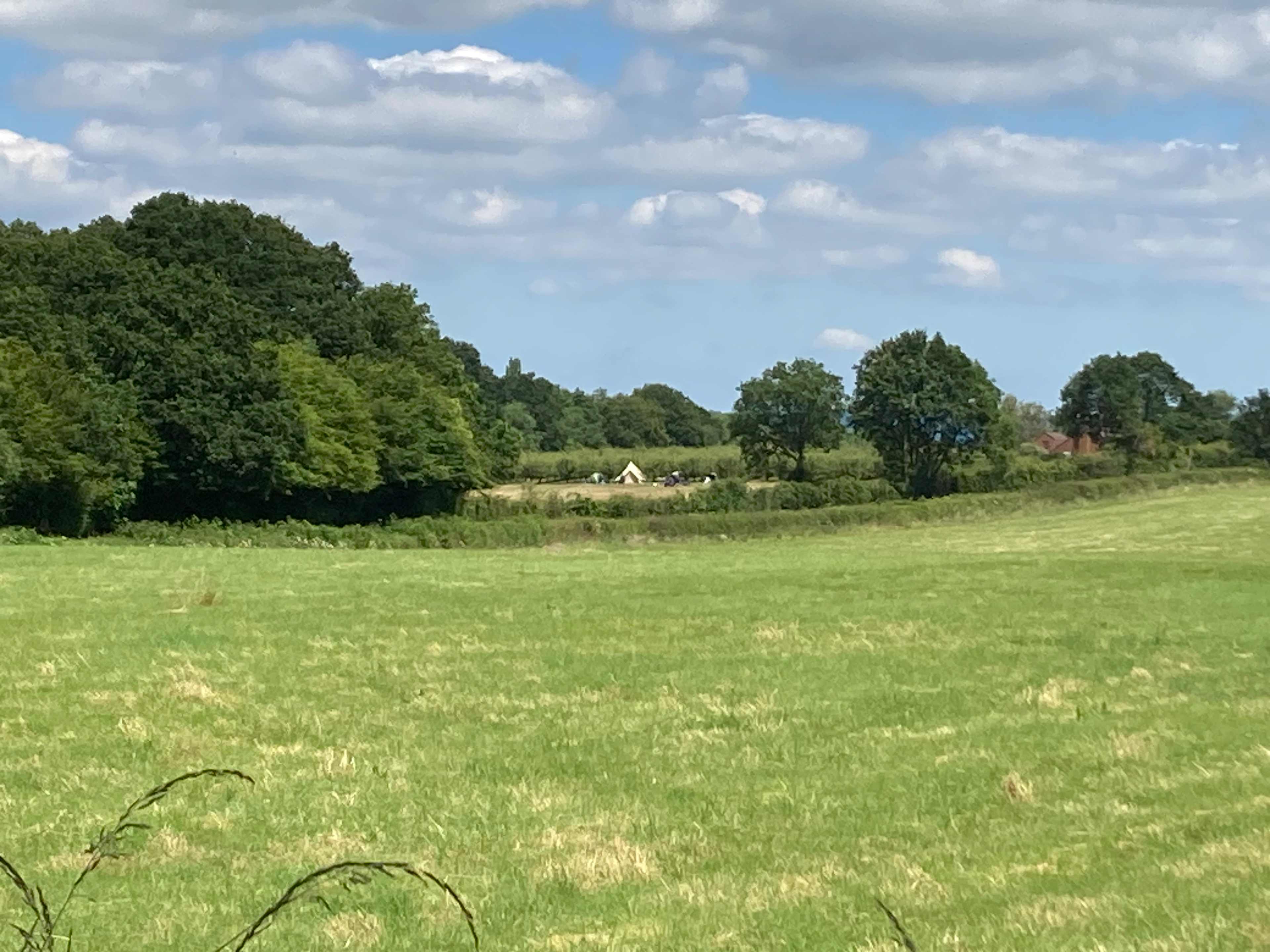 Frittenden Orchard