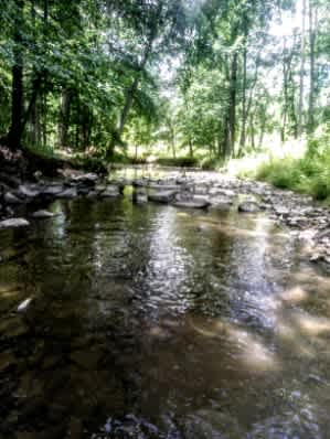 The Creekside at Goat Hill