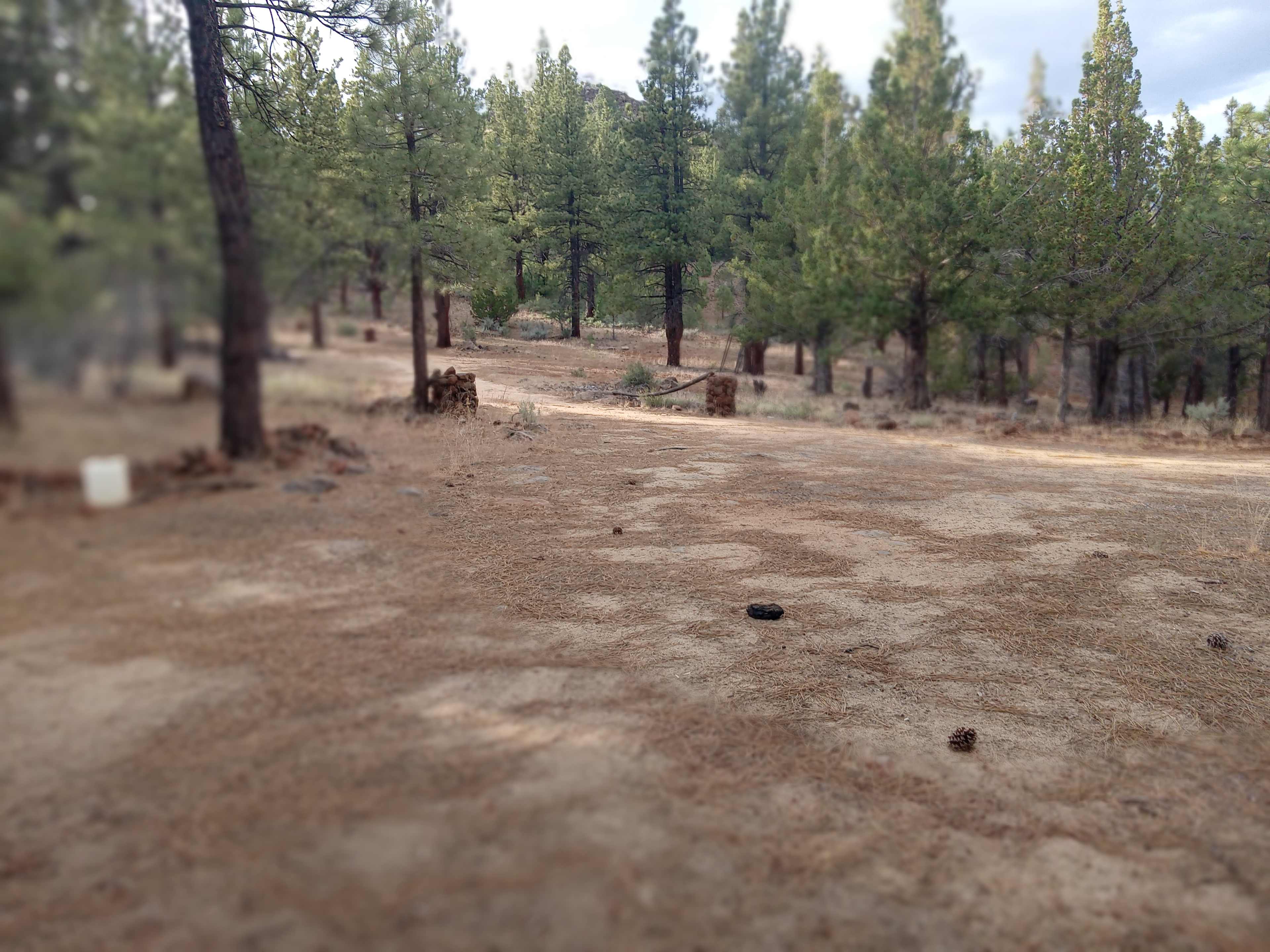 Hamilton- Braulio Ranch