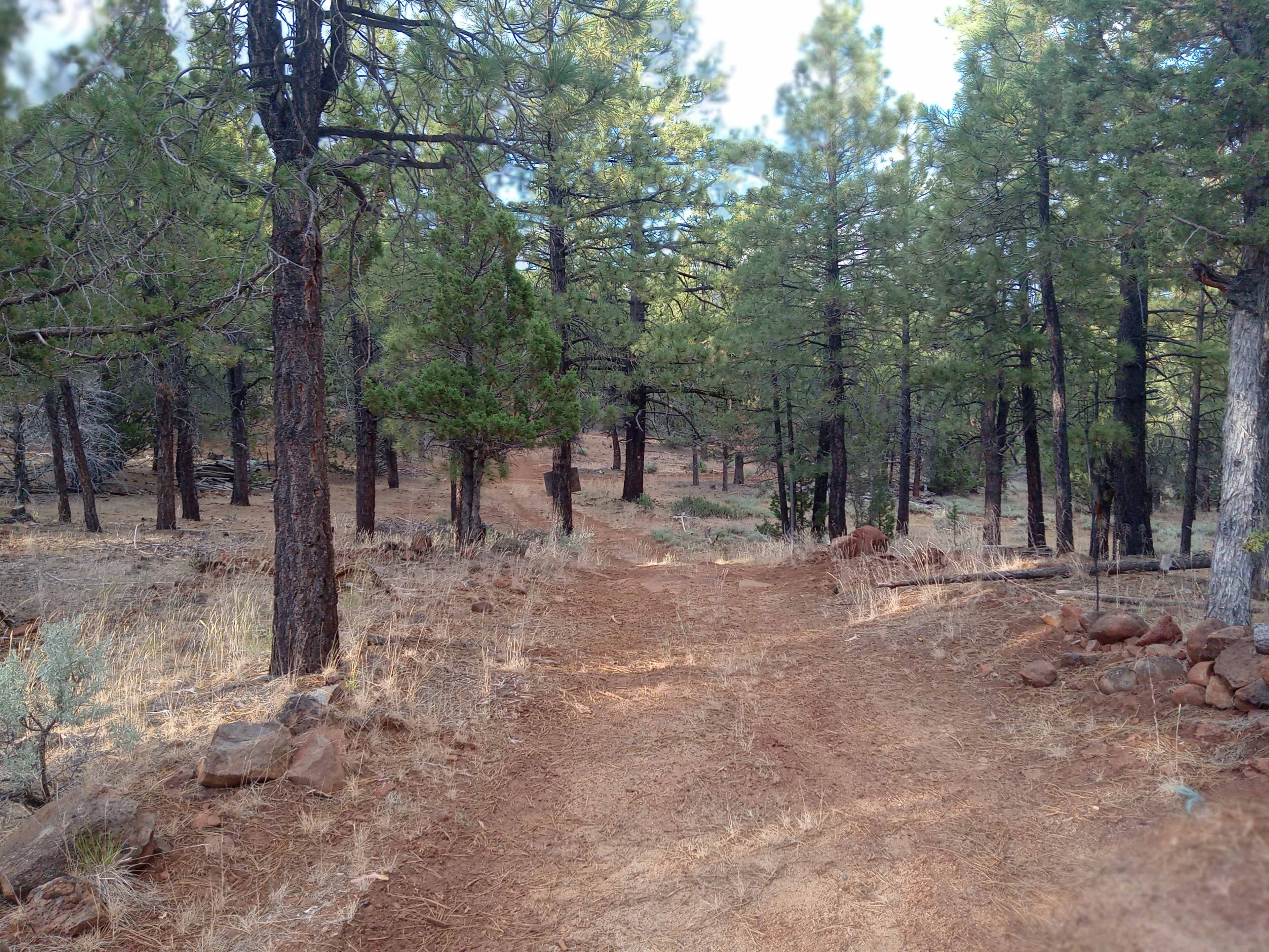 Hamilton- Braulio Ranch