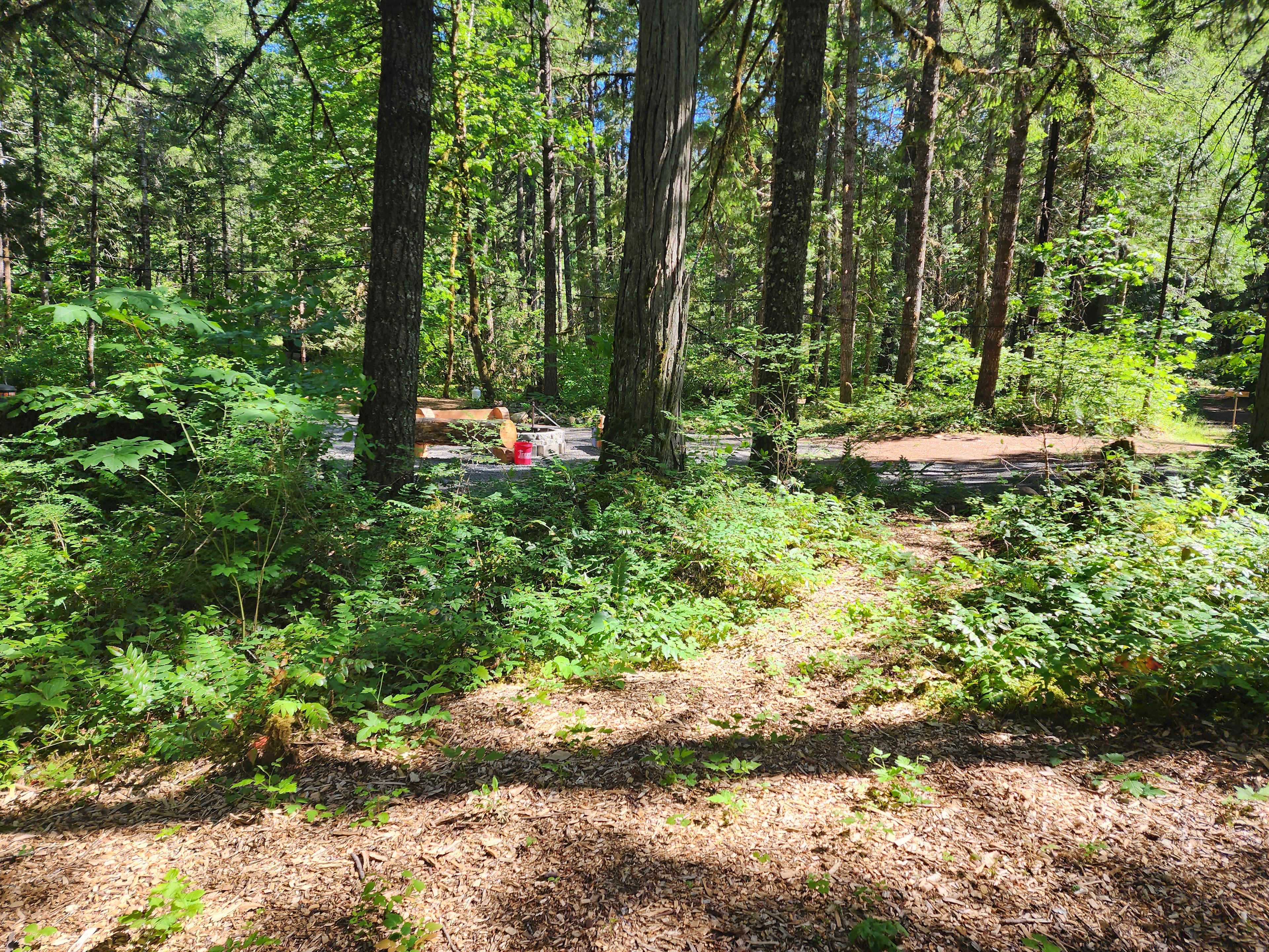 McKenzie River Forest Retreat