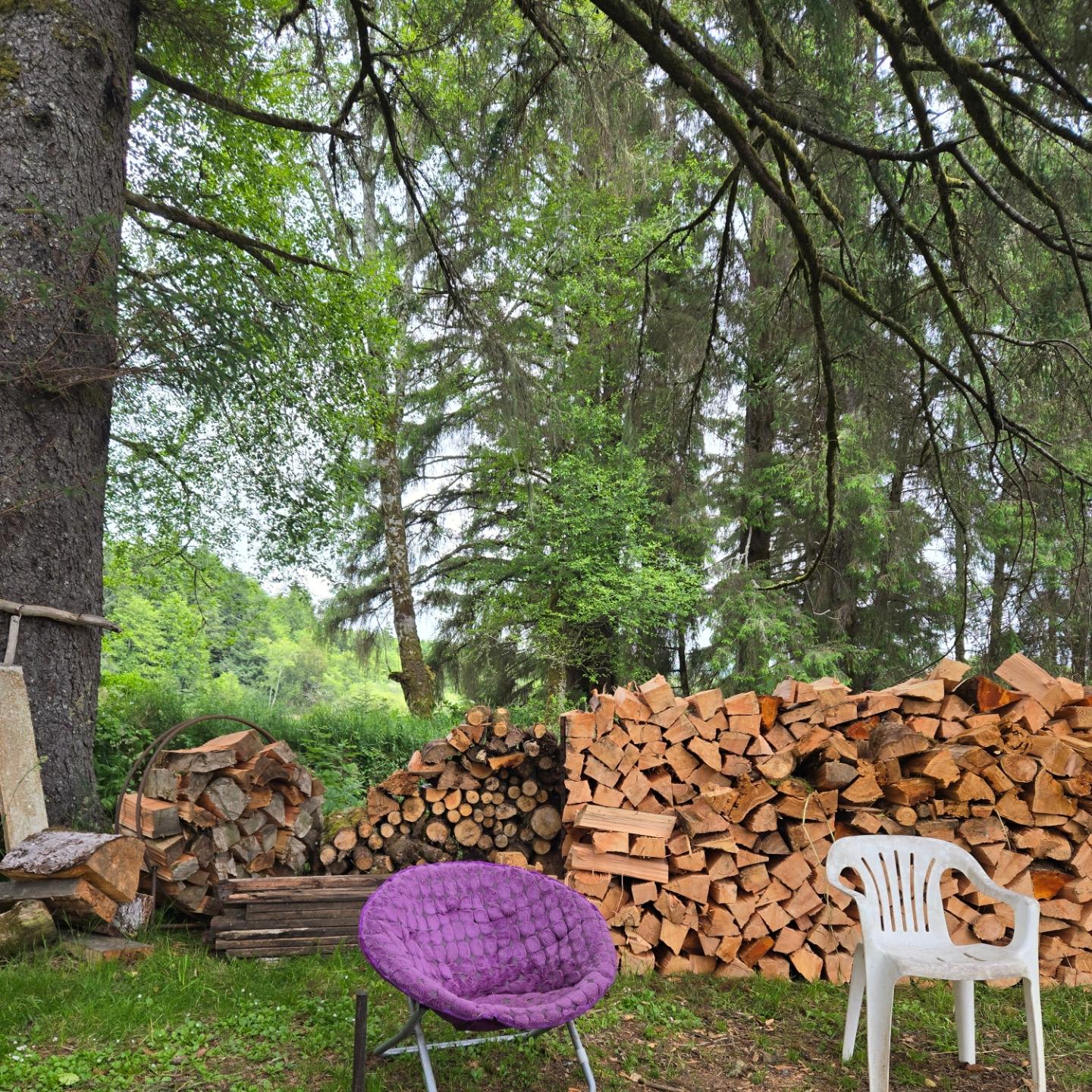 Williams Park campground