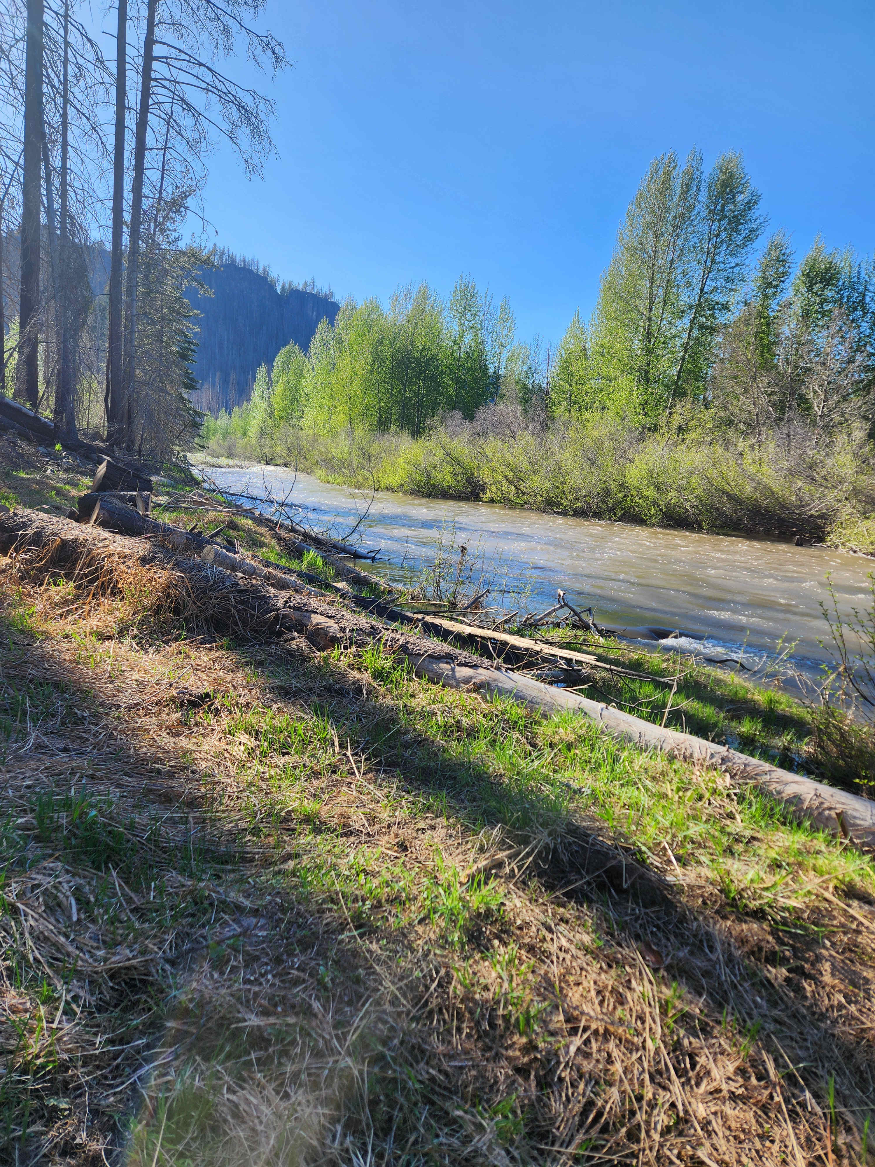Story Creekside Retreat