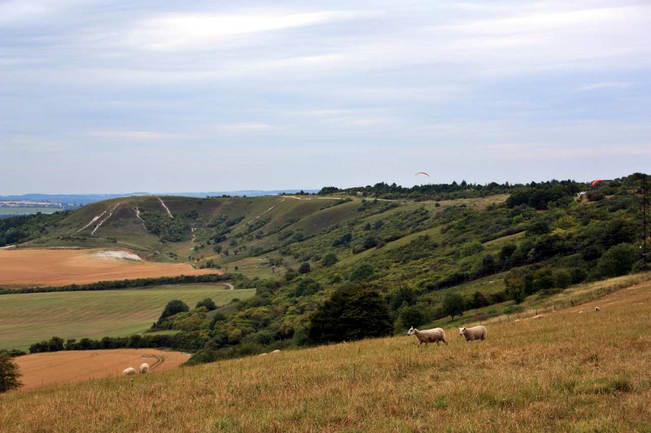 Dunstable Downs