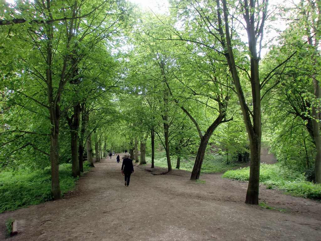 Hampstead Heath