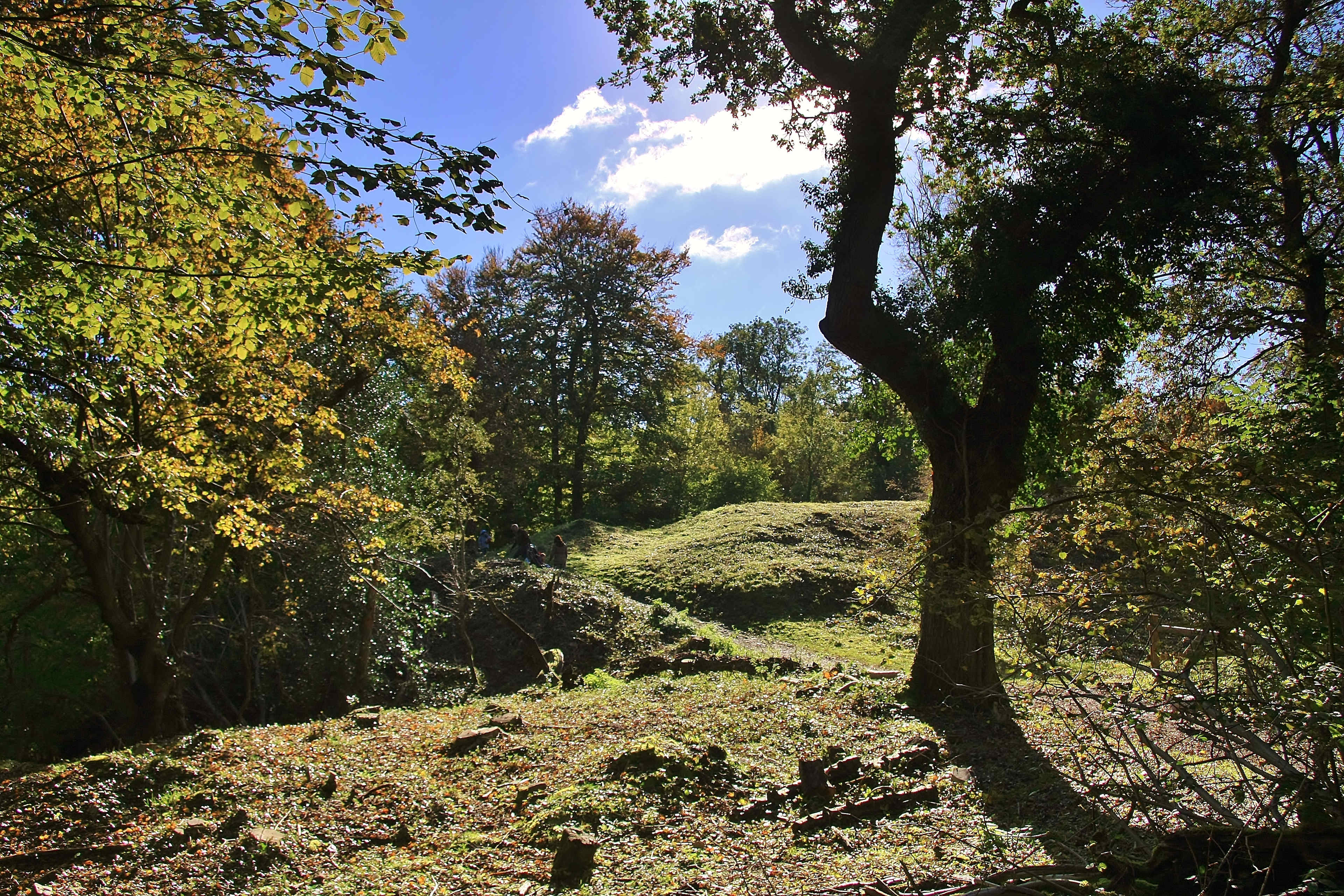 Leigh Woods