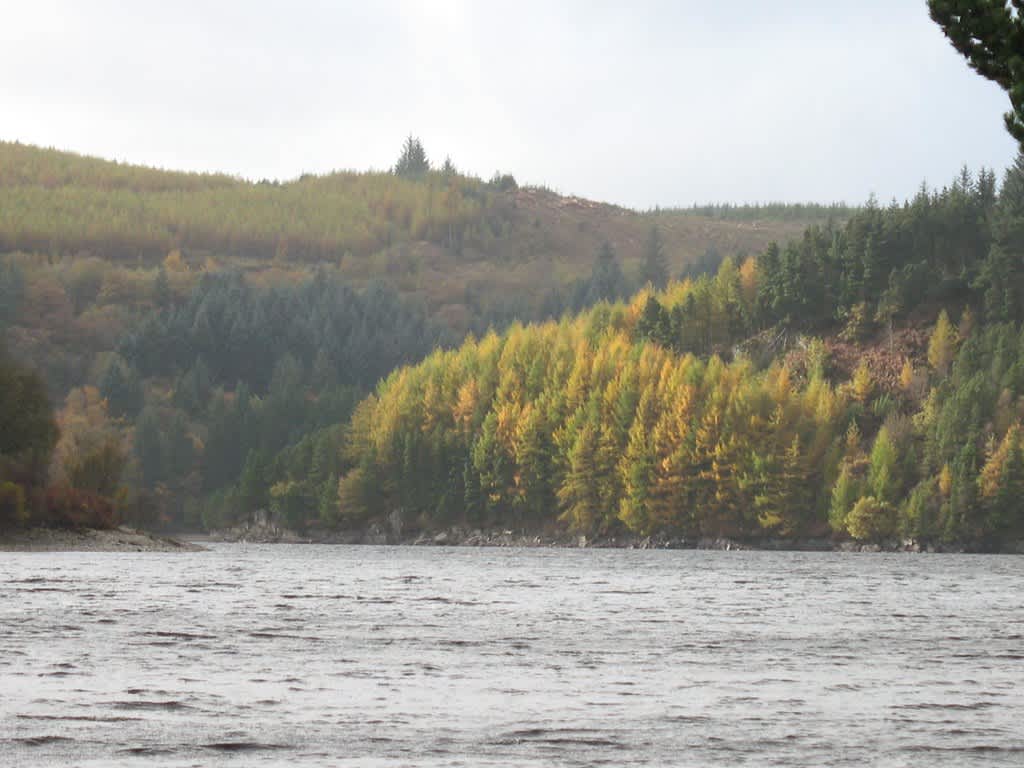 Llyn Brianne