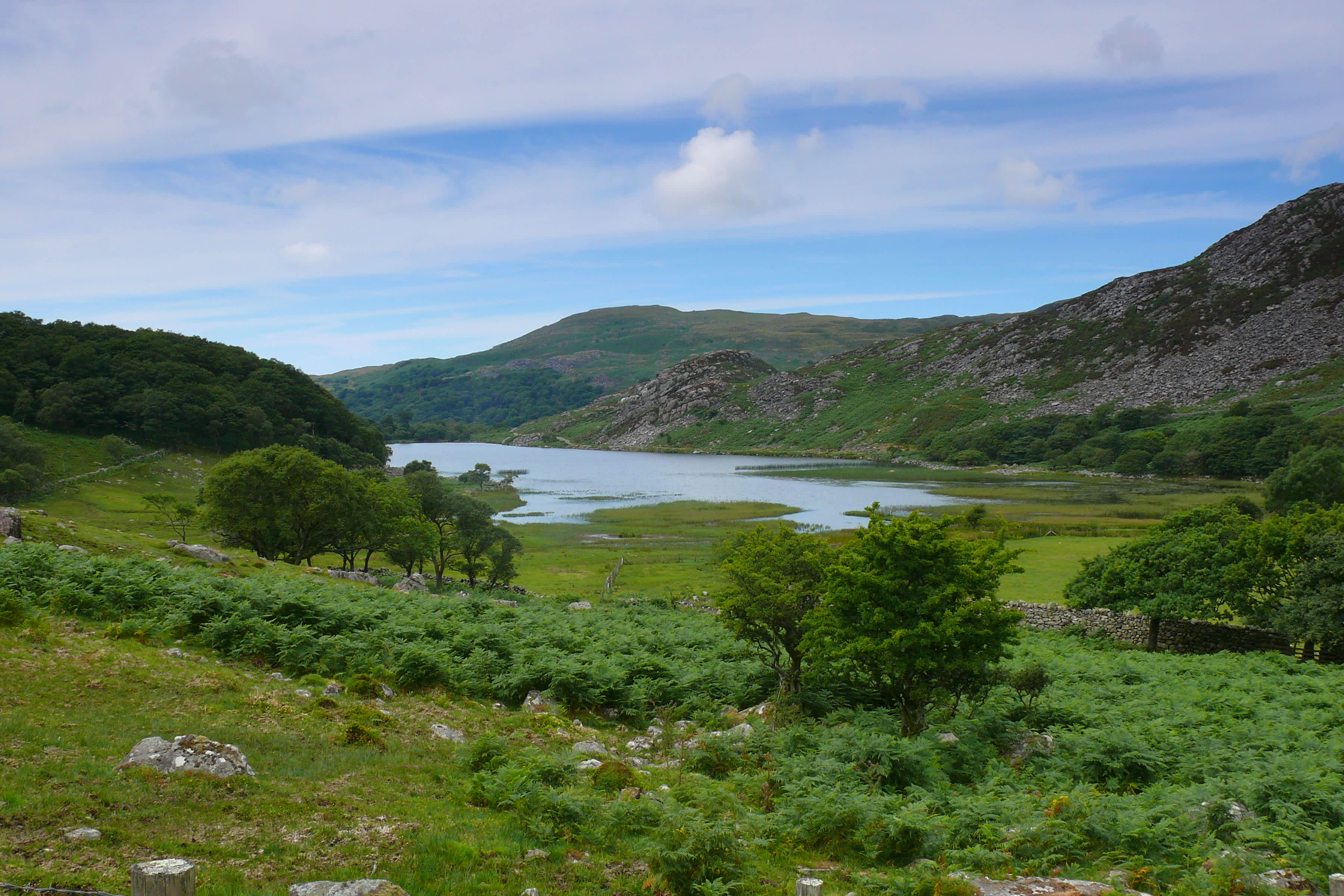 Llyn Cwm Bychan