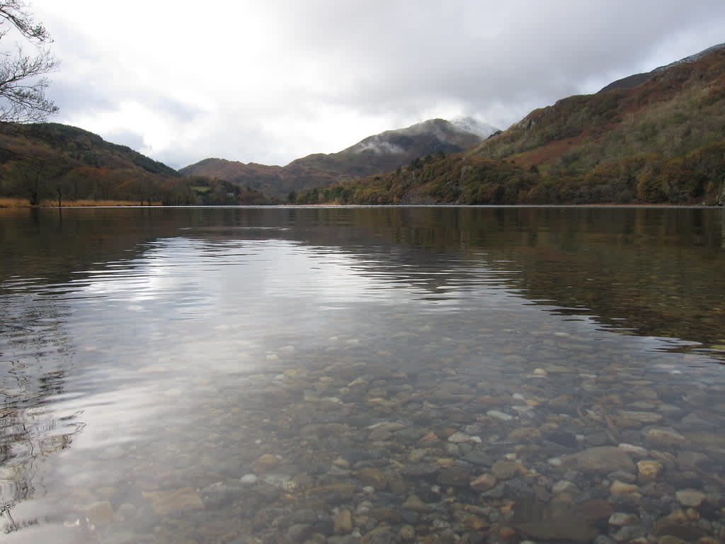 Llyn Gwynant