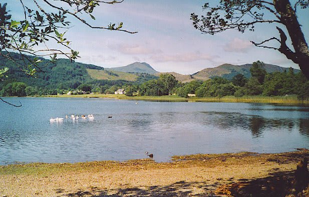 Loch Ard