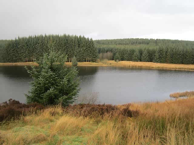 Loch Ettrick