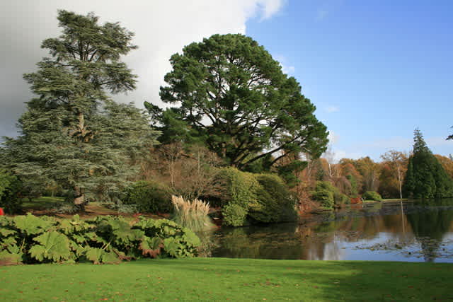 Sheffield Park