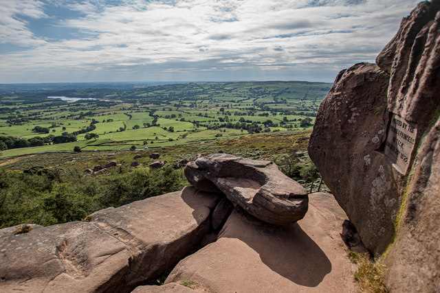 The Roaches