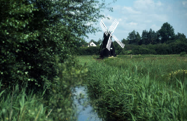 Wicken Fen
