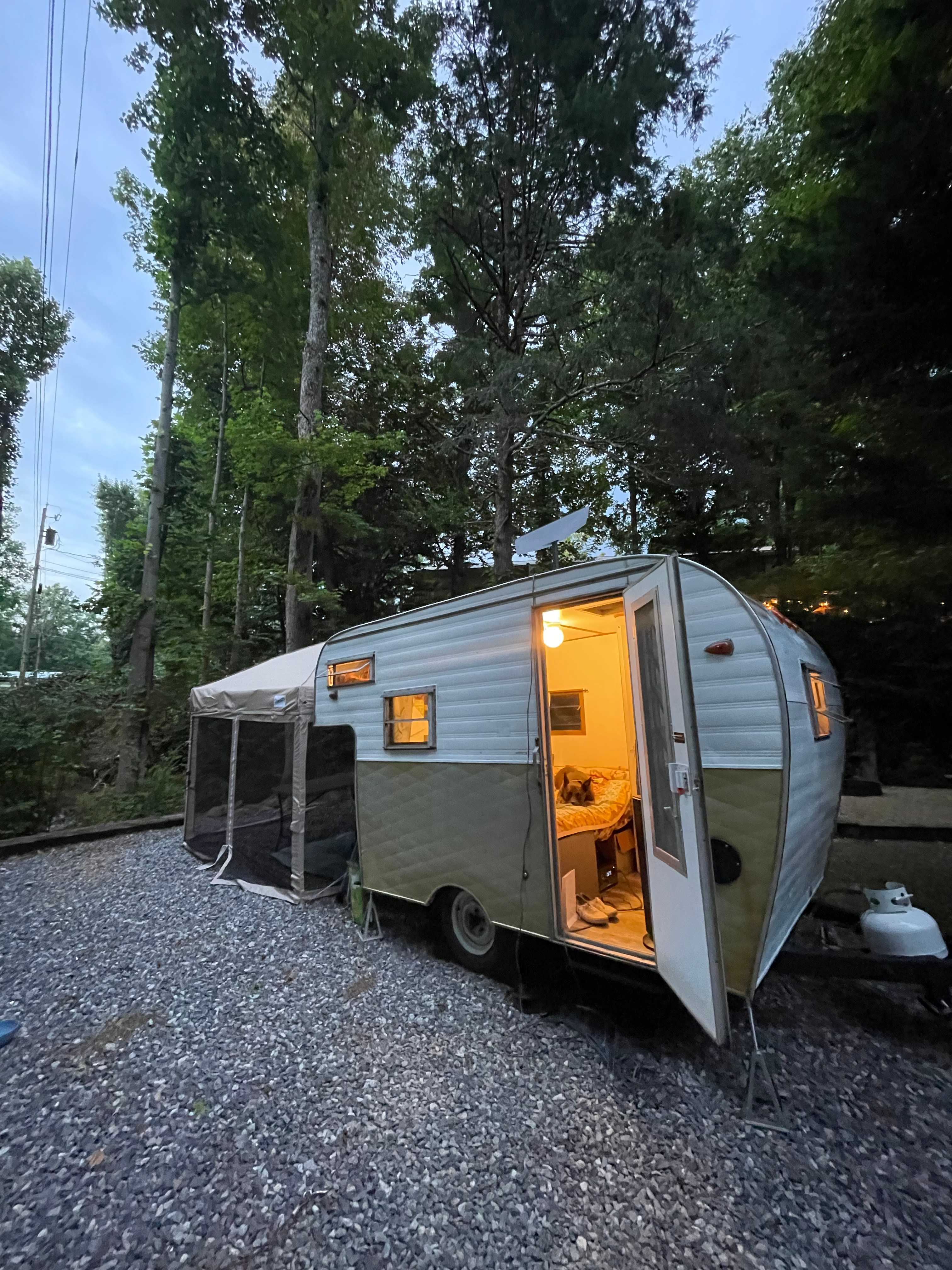Picture of the site