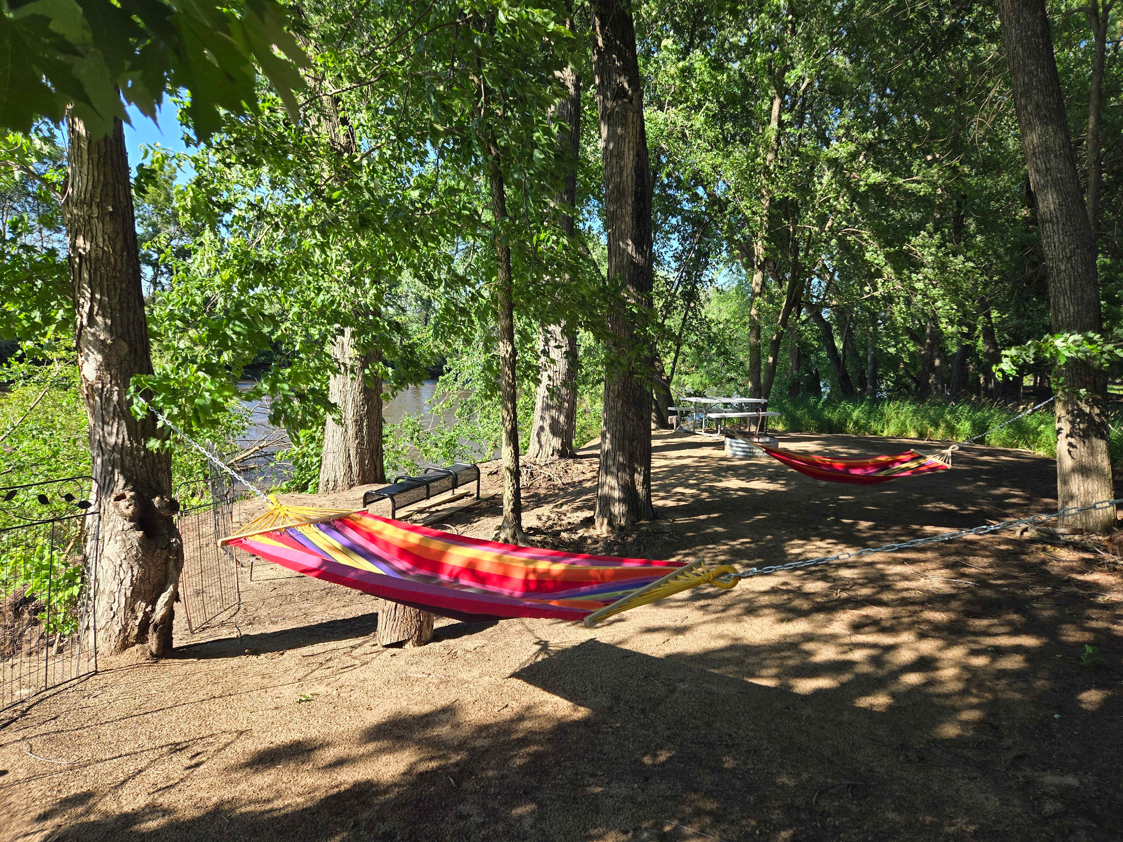 Grab a spot under the trees to relax and listen to the birds. 