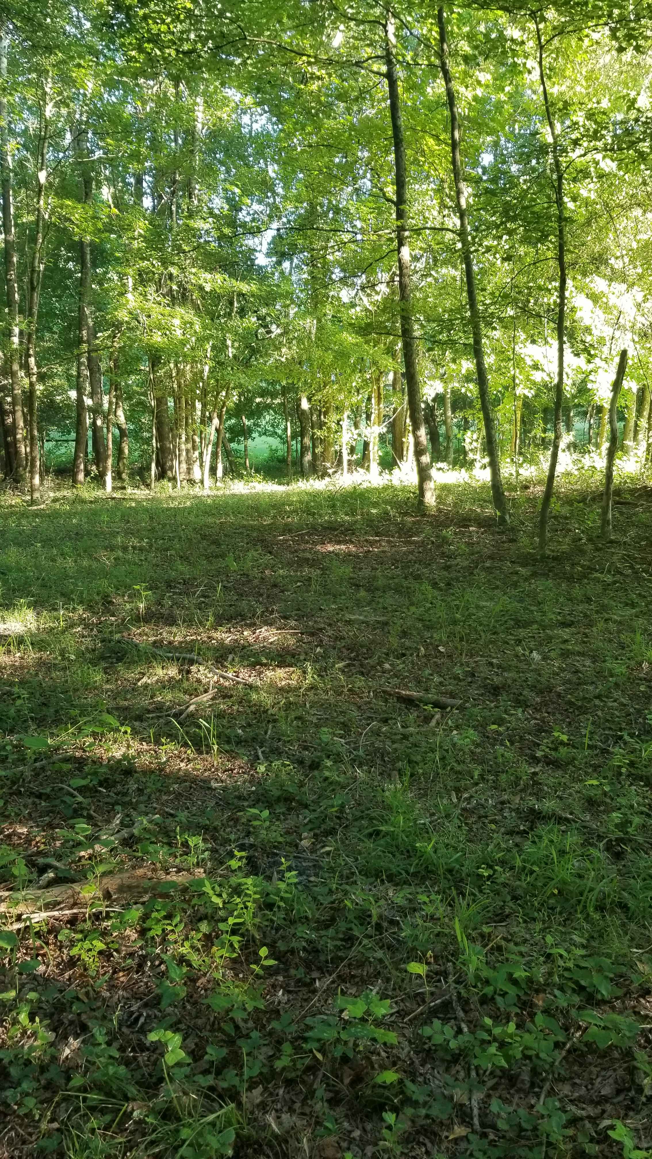 Patient Wait Regenerative Farm