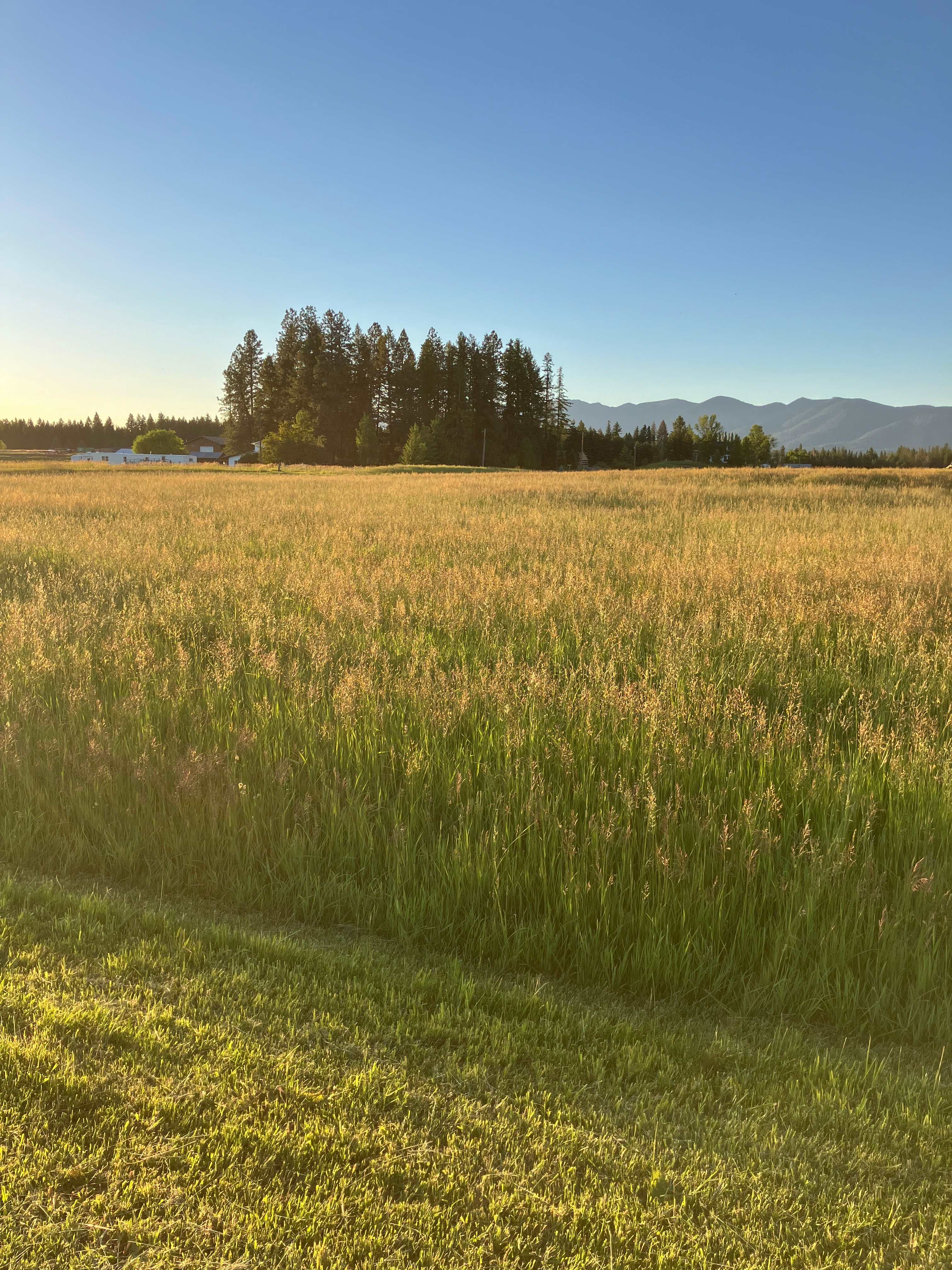 Mountain View Farmstead