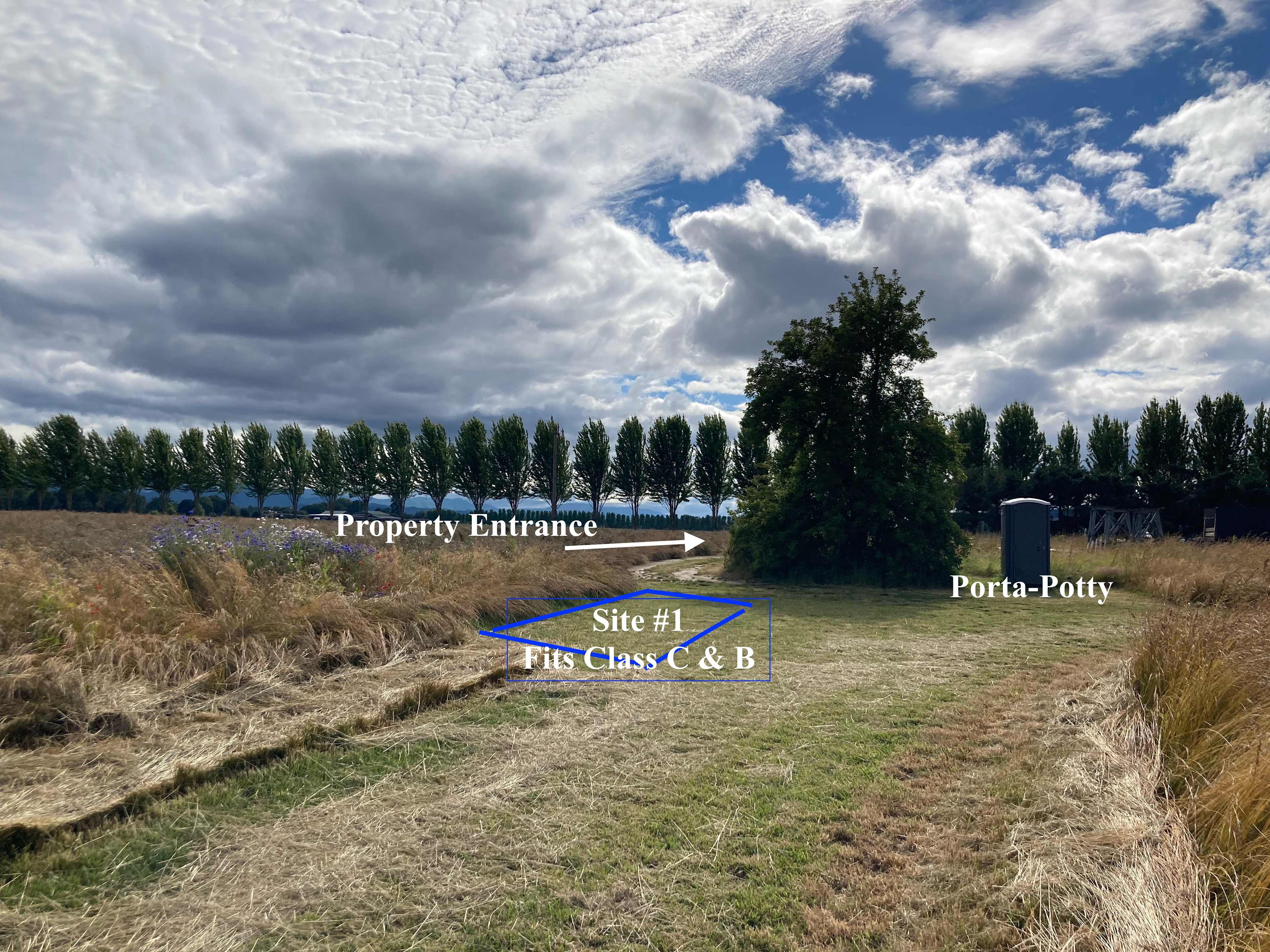 Picture of the site