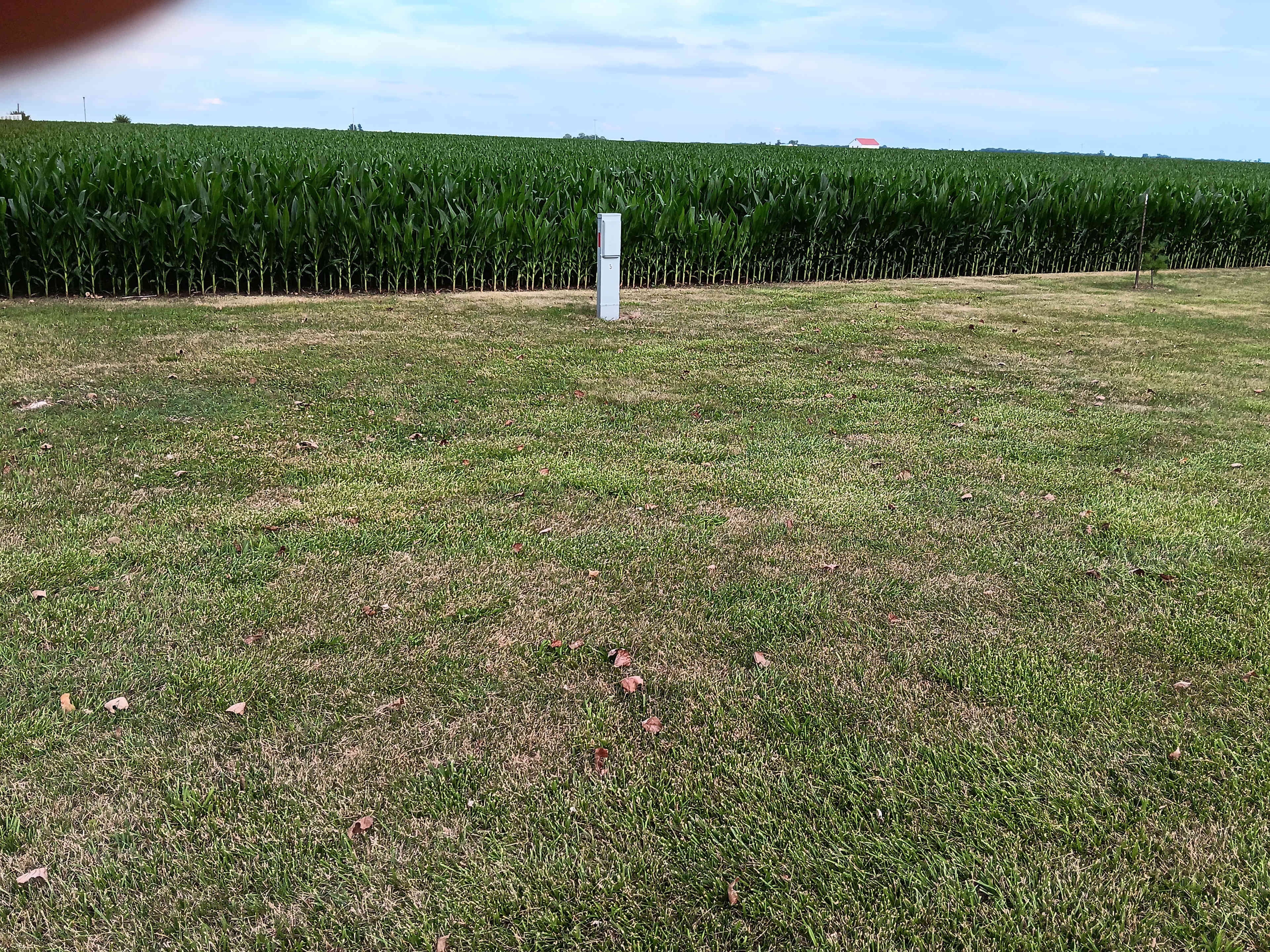 Bellinger's Liberty Acres