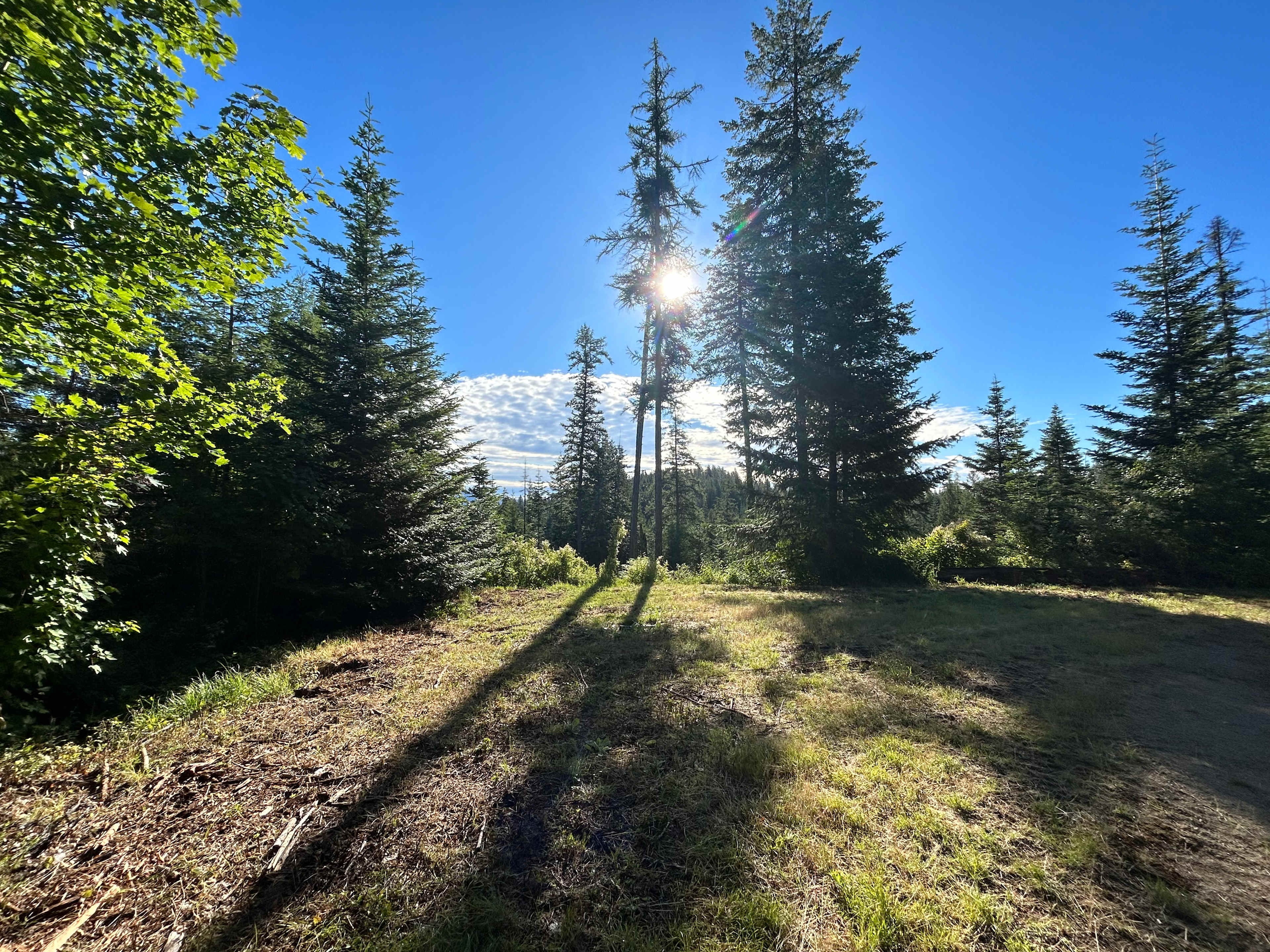 Papa's Primitive Outdoor Paradise