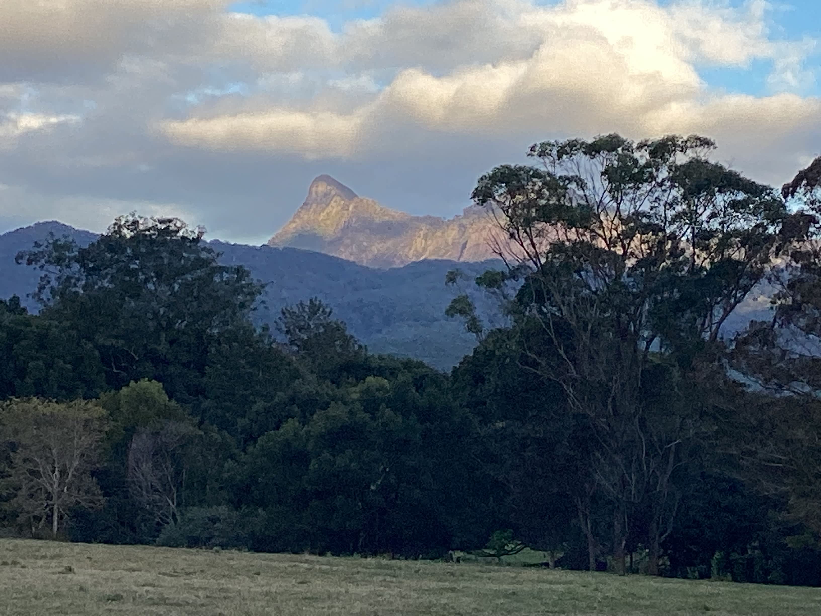 View from our site.