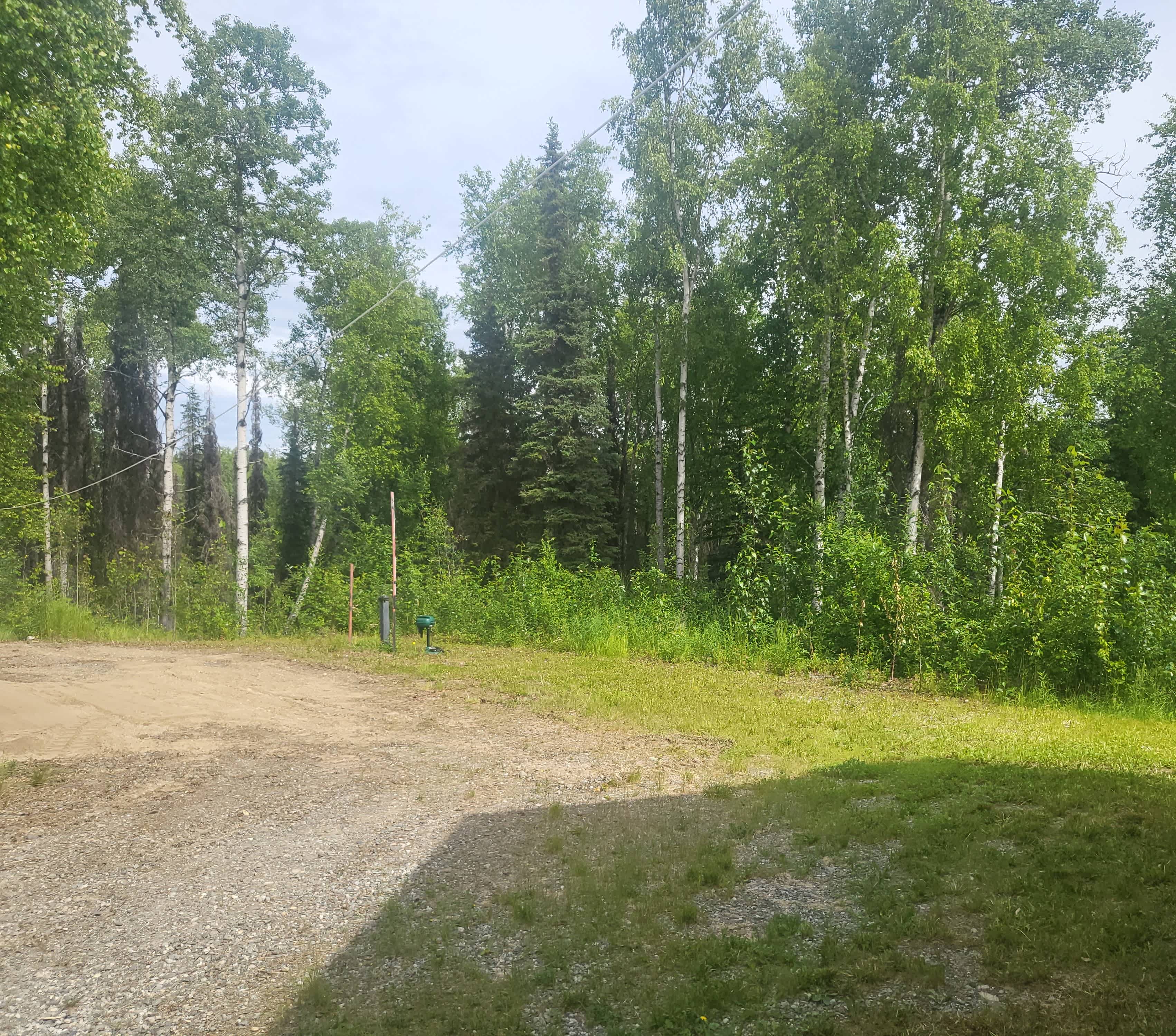 Tent site 2