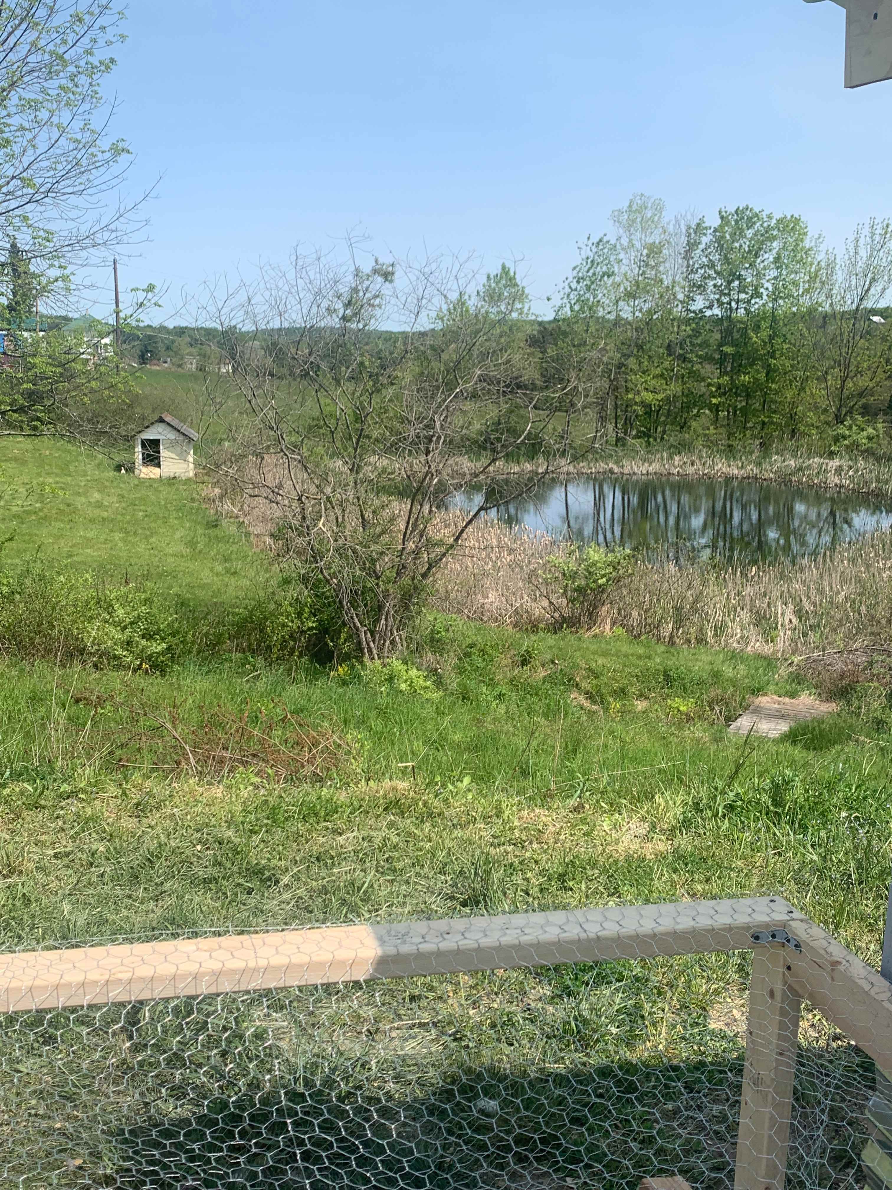 Sleepy Hollow Acres