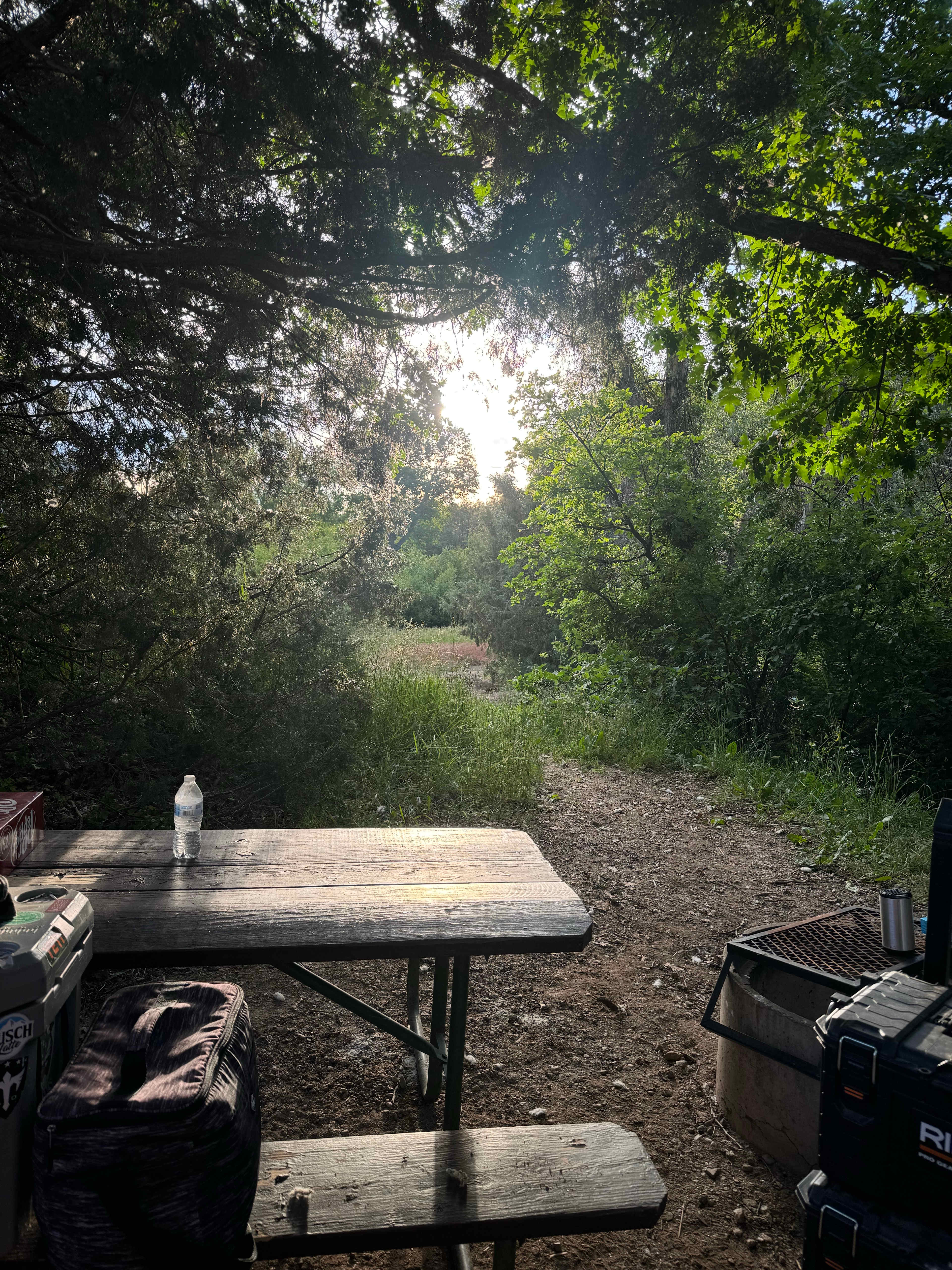 Picture of the site