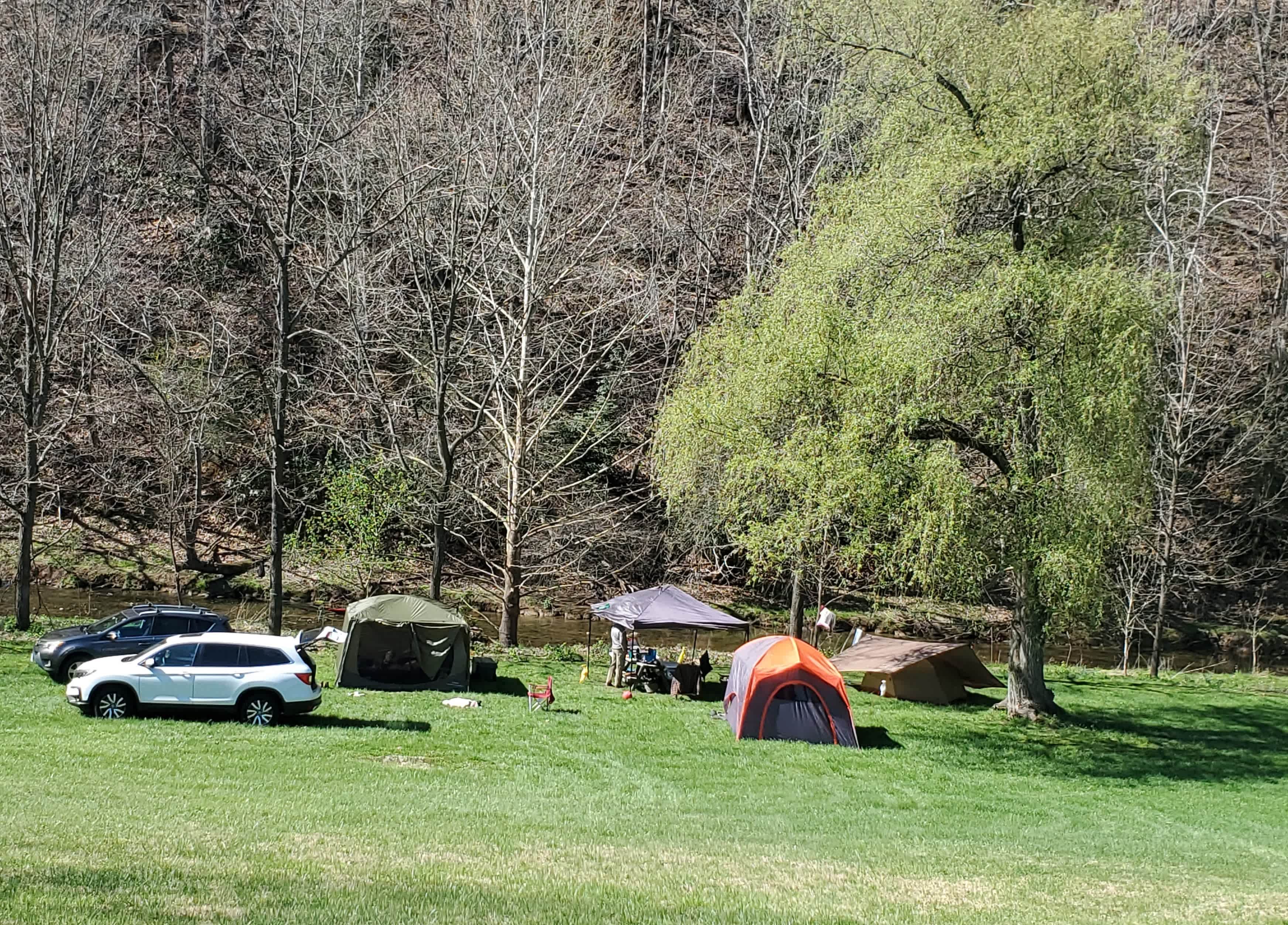 Meadow Creek In Dry Valley