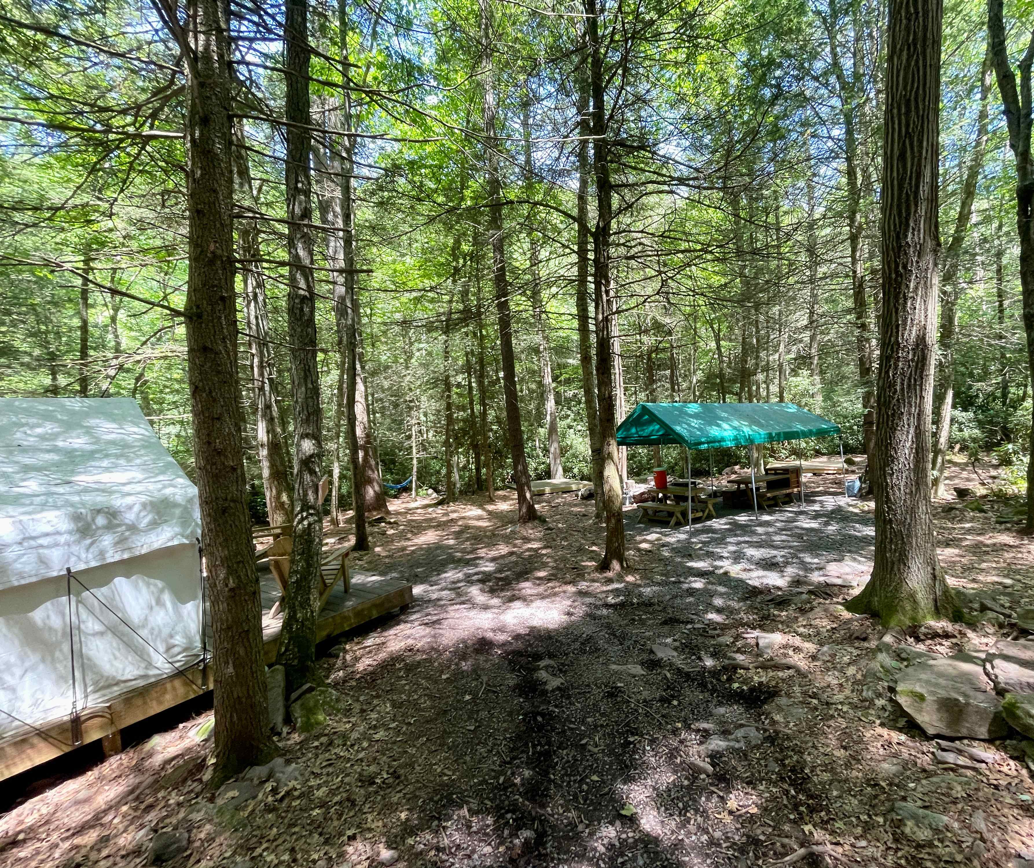 Picture of the site