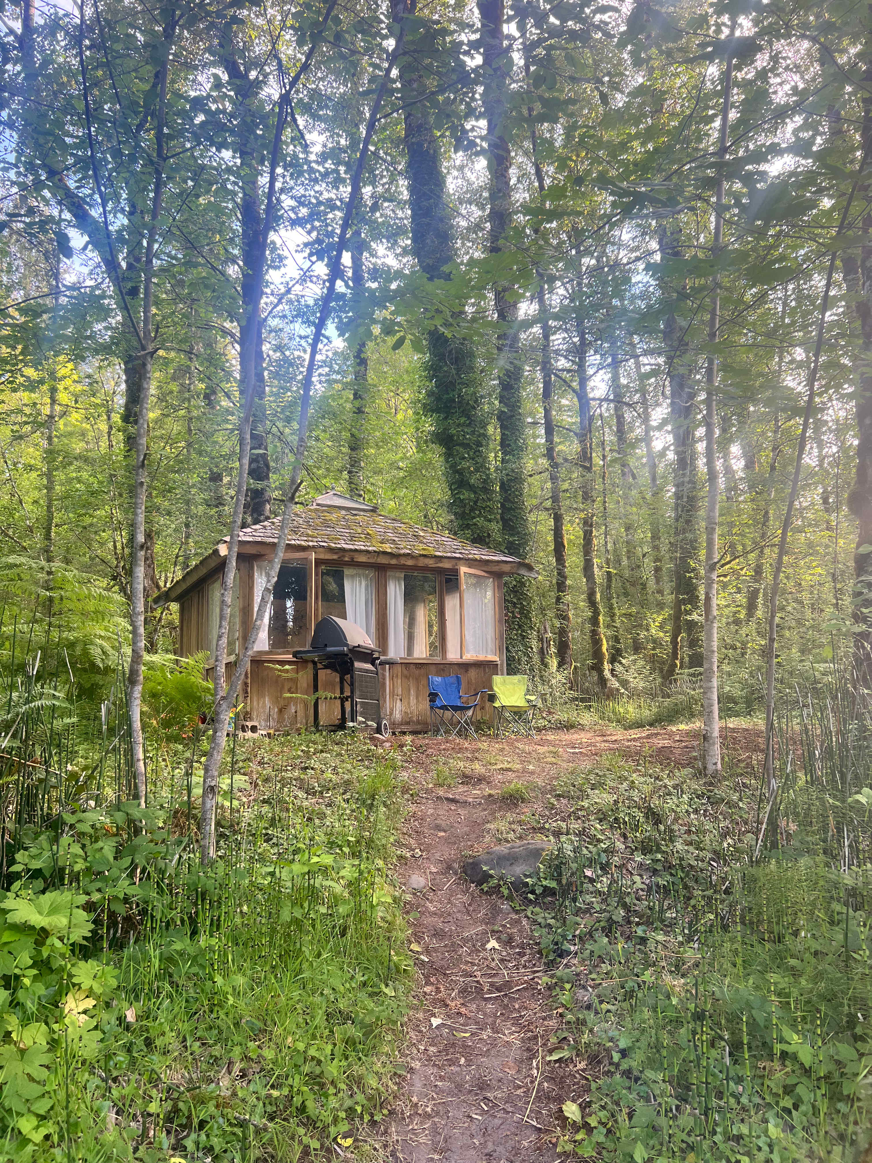 Mt. Hood Enchanted Forest