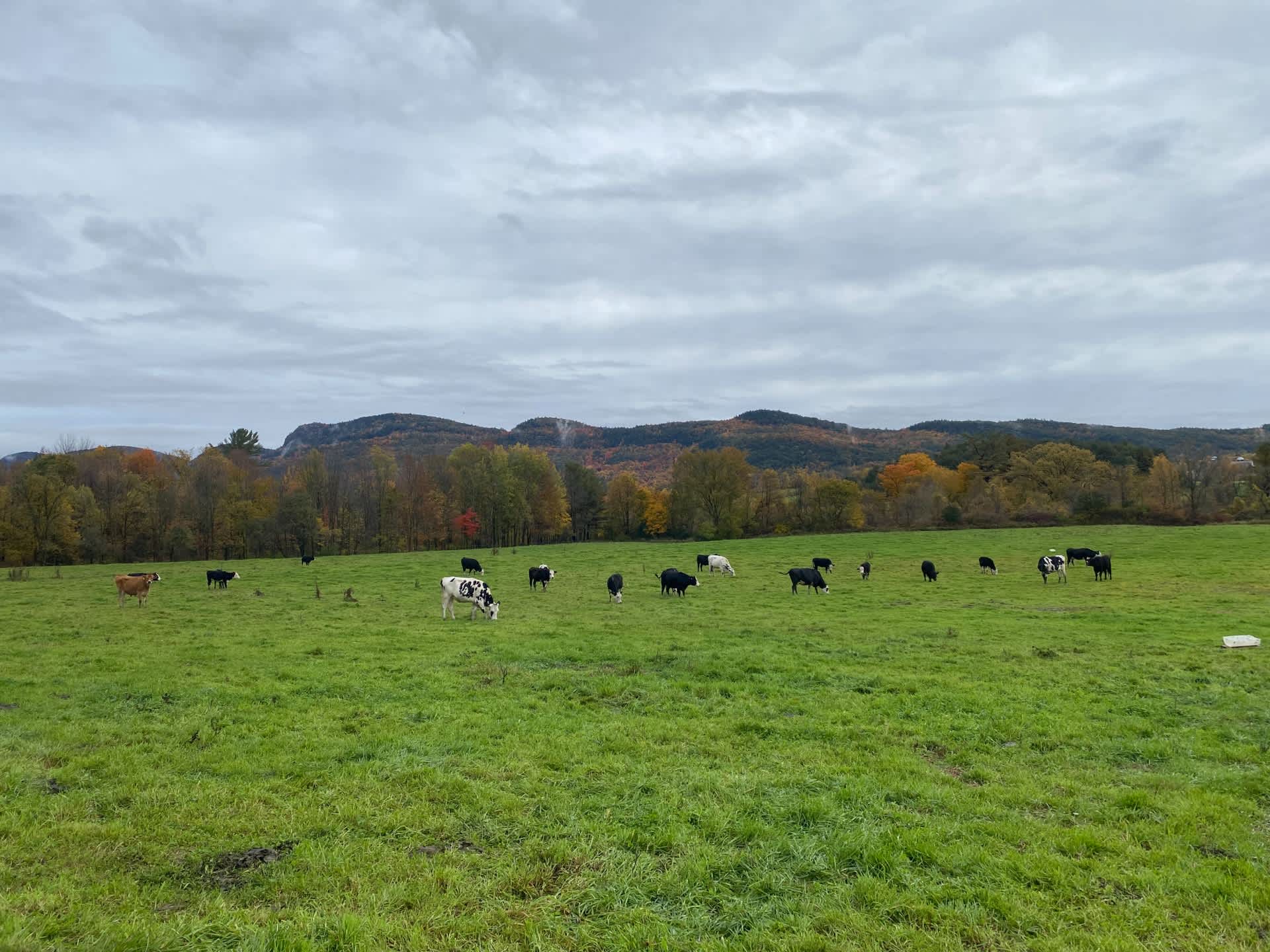 Fuller Acres Farmstay