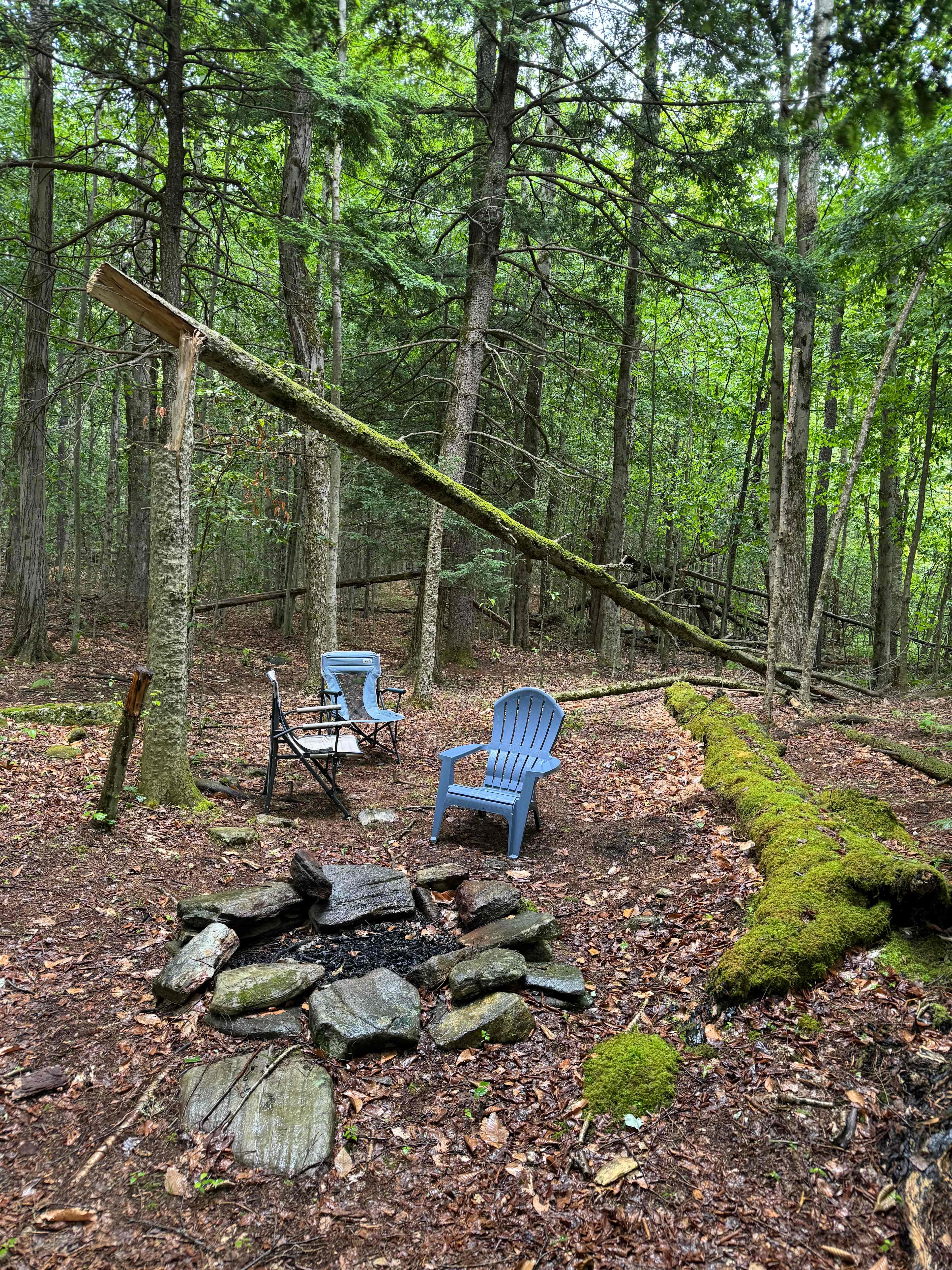 Mount Airy Hill