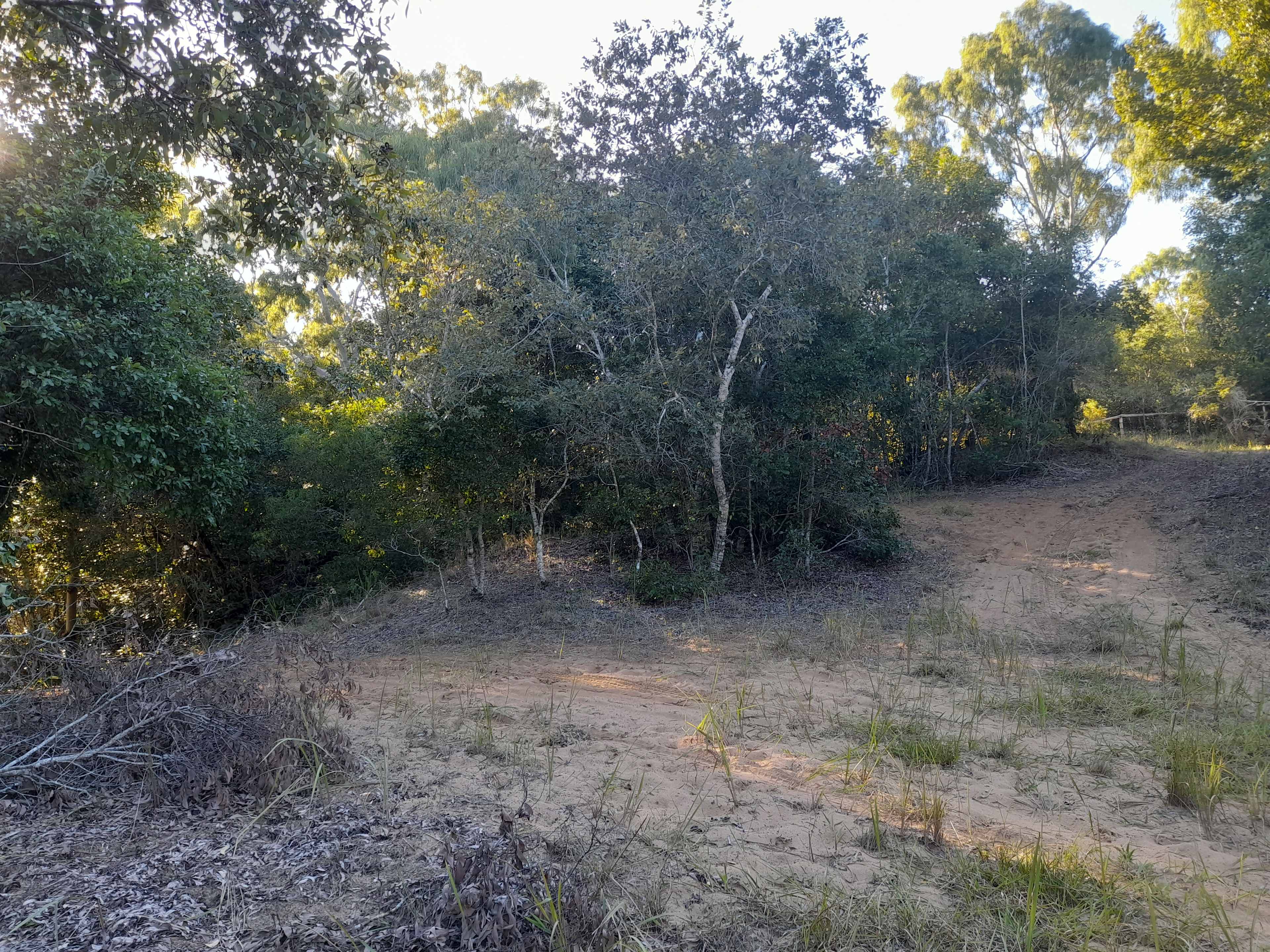Picture of the site