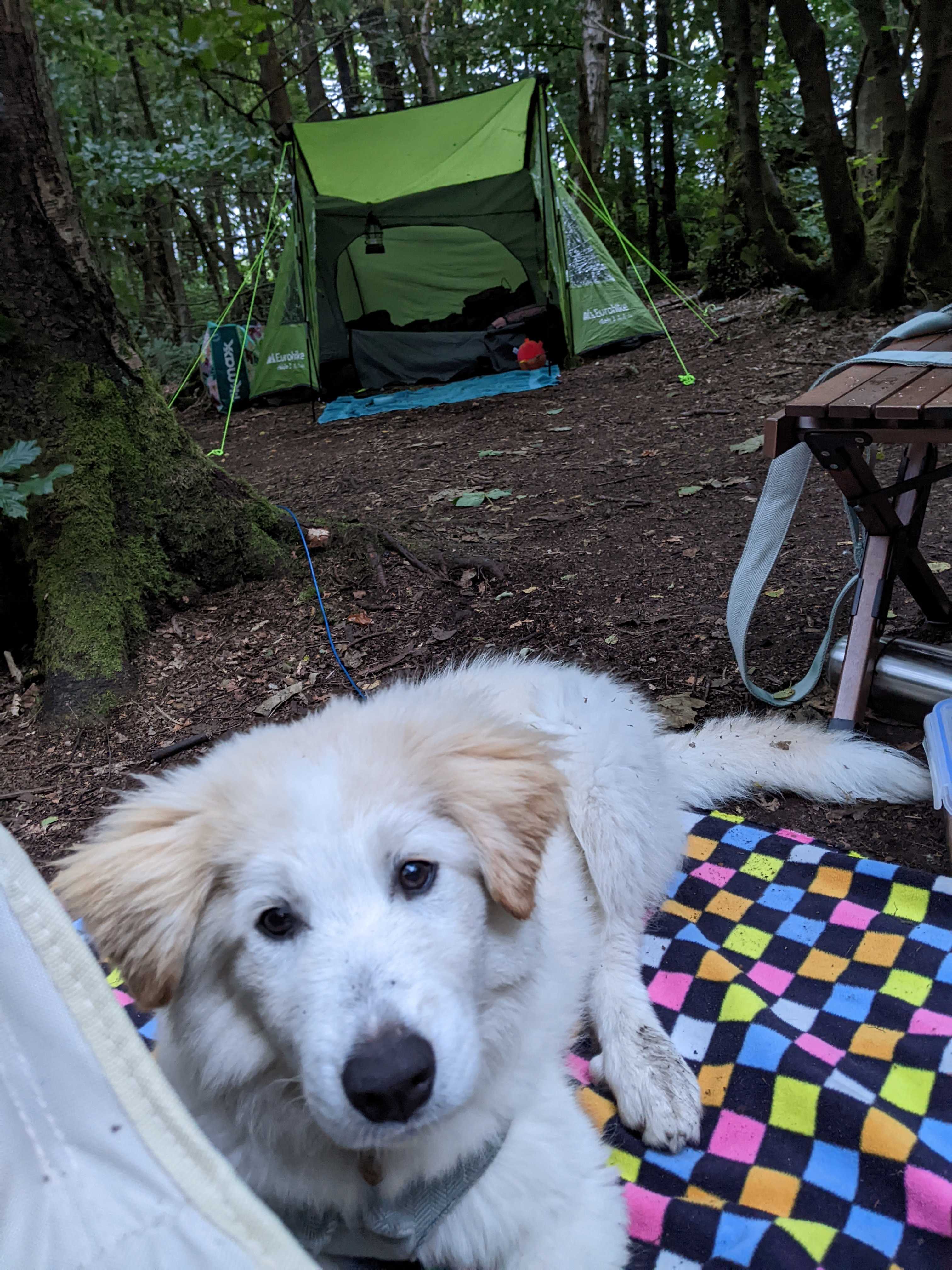 Woodsworth Exploring
