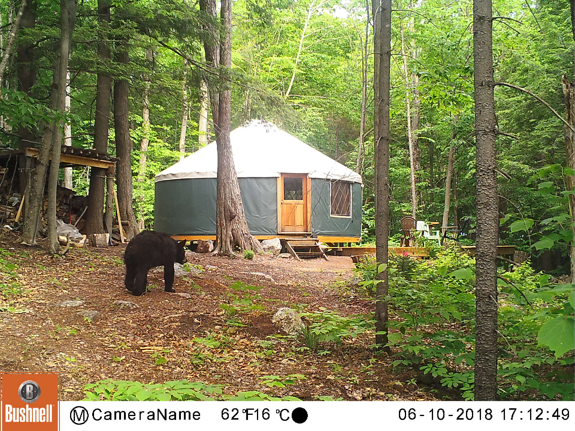 Back 80 Yurt