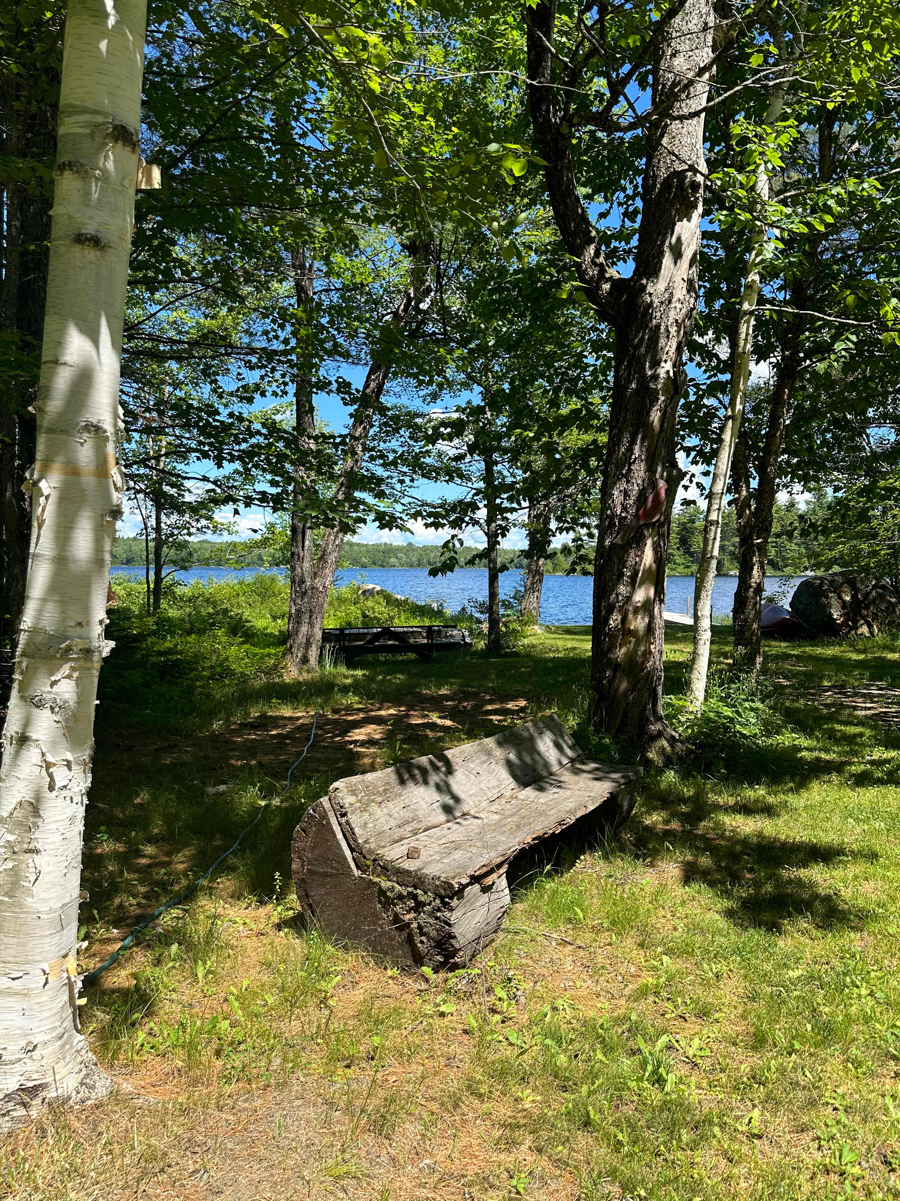Cole's Moosehorn Cabins