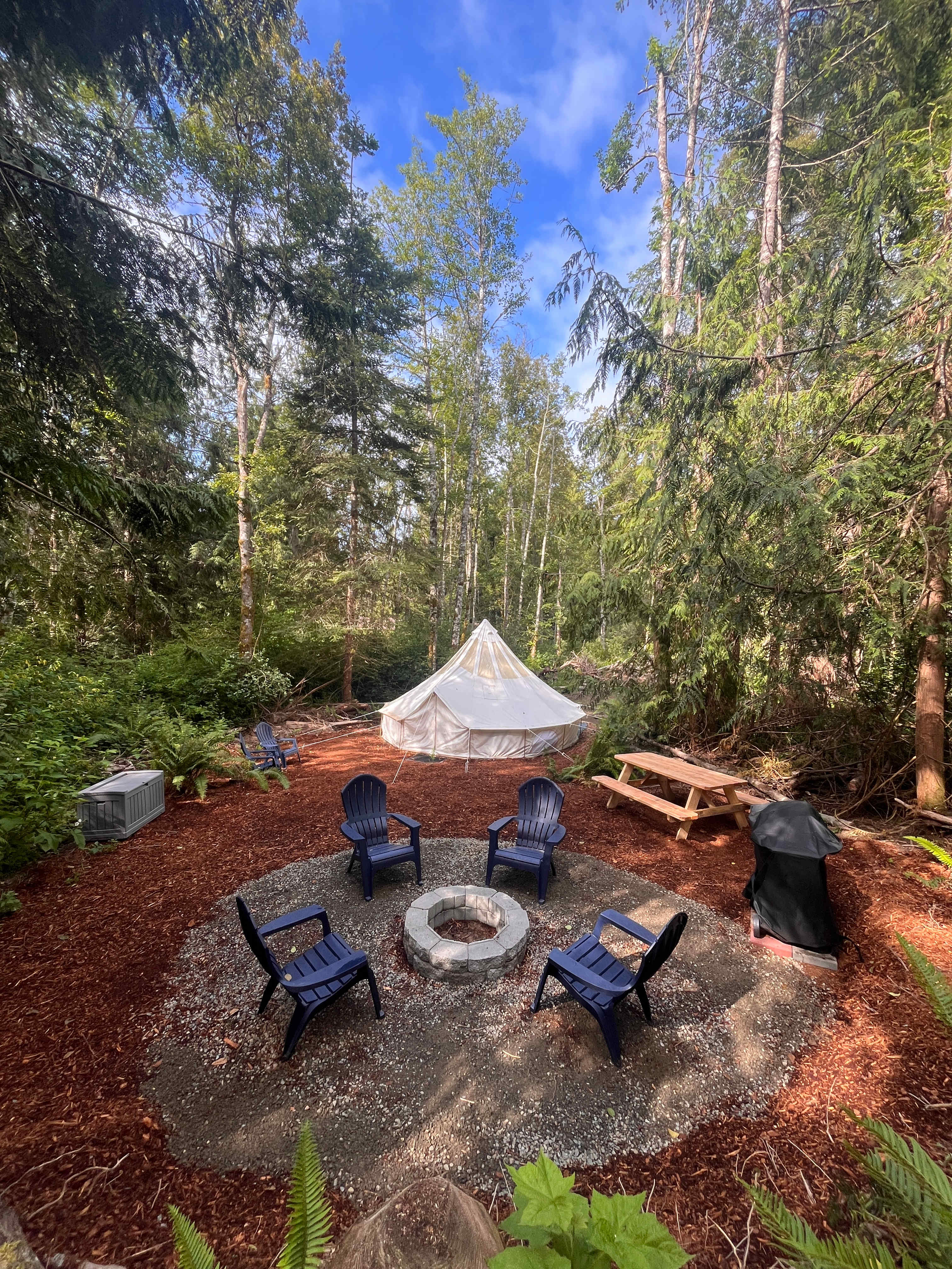Picture of the site