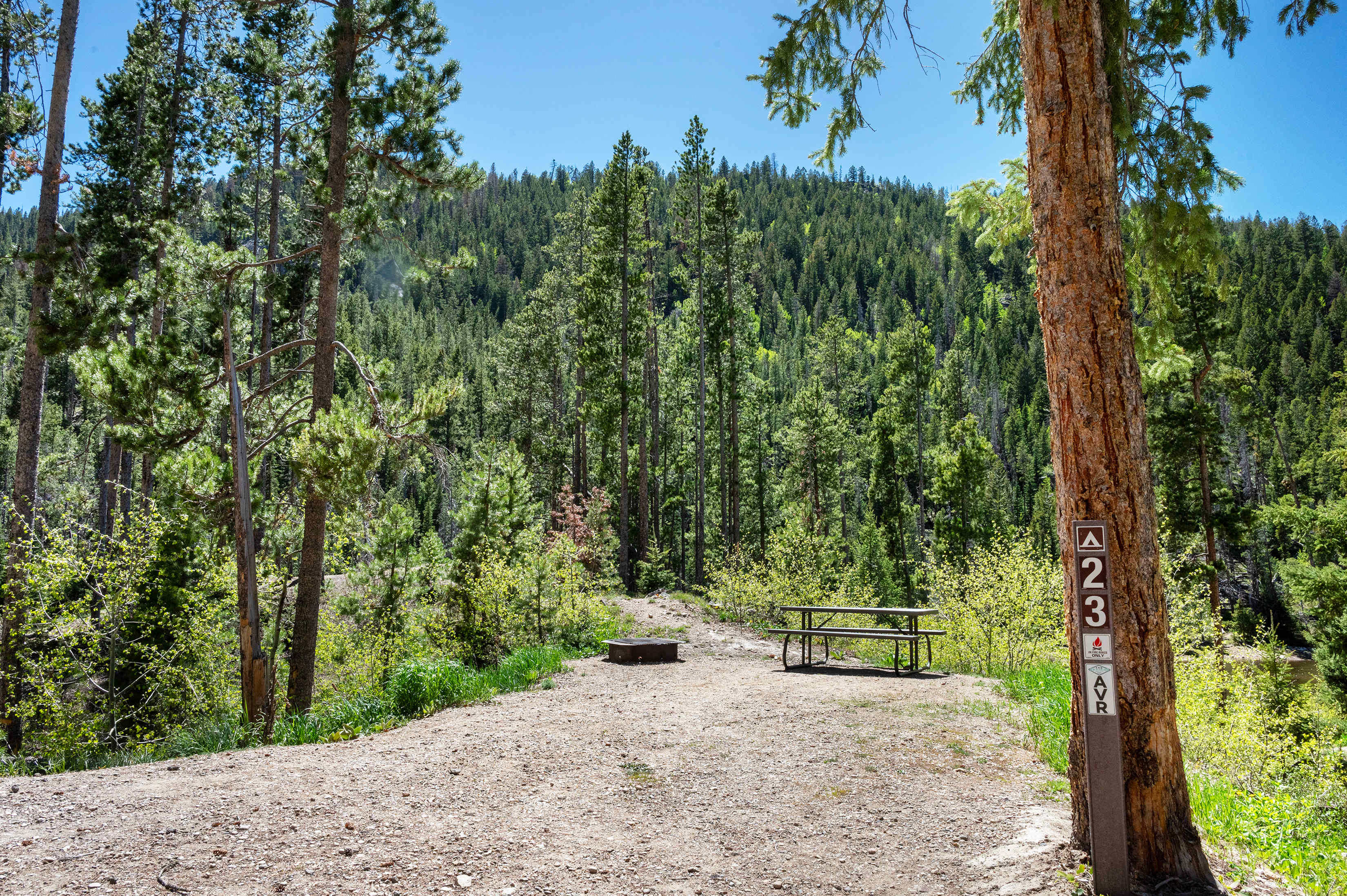 Picture of the site