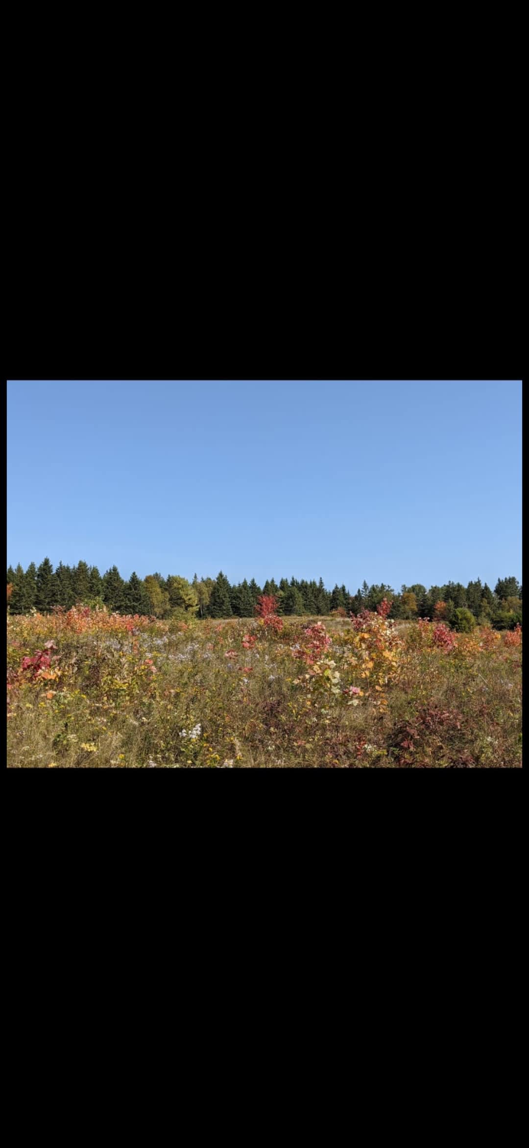 Wickham Nature Retreat