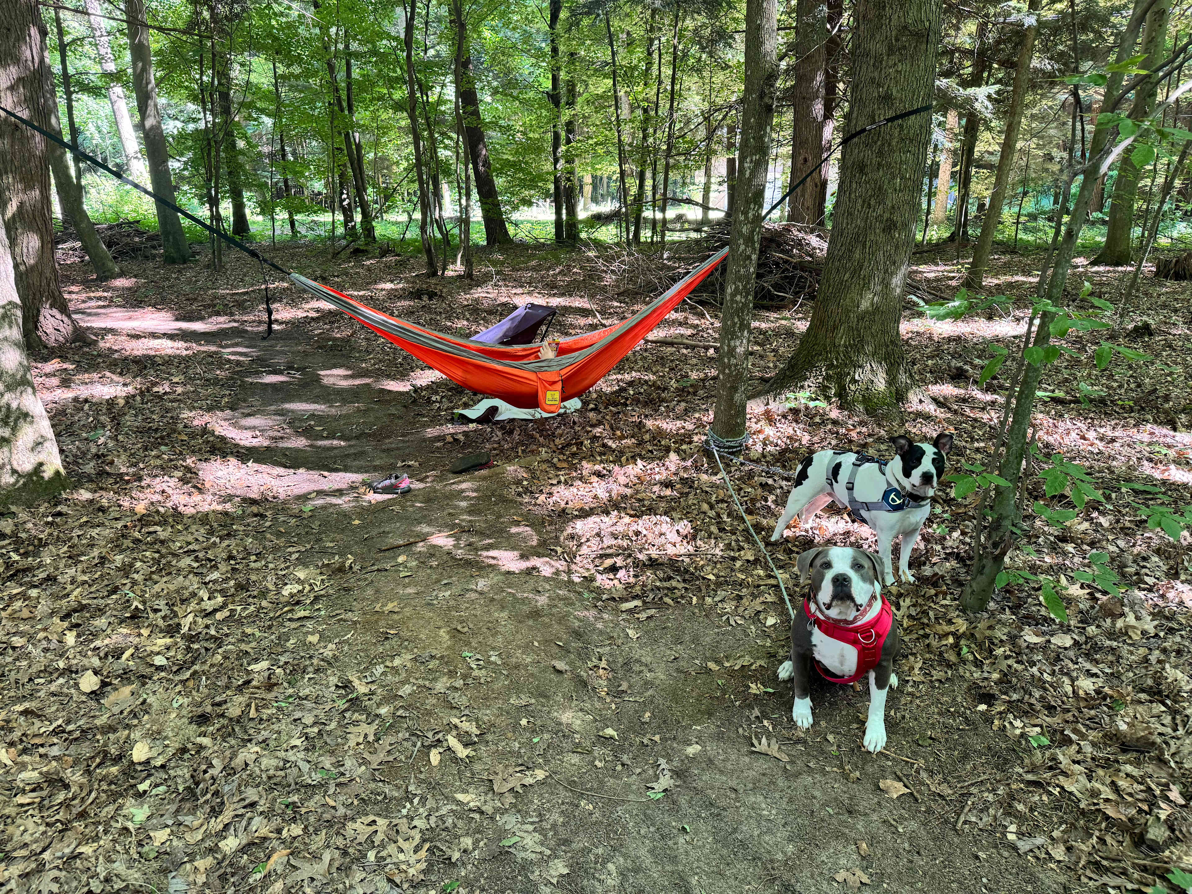 Hiprivcamp