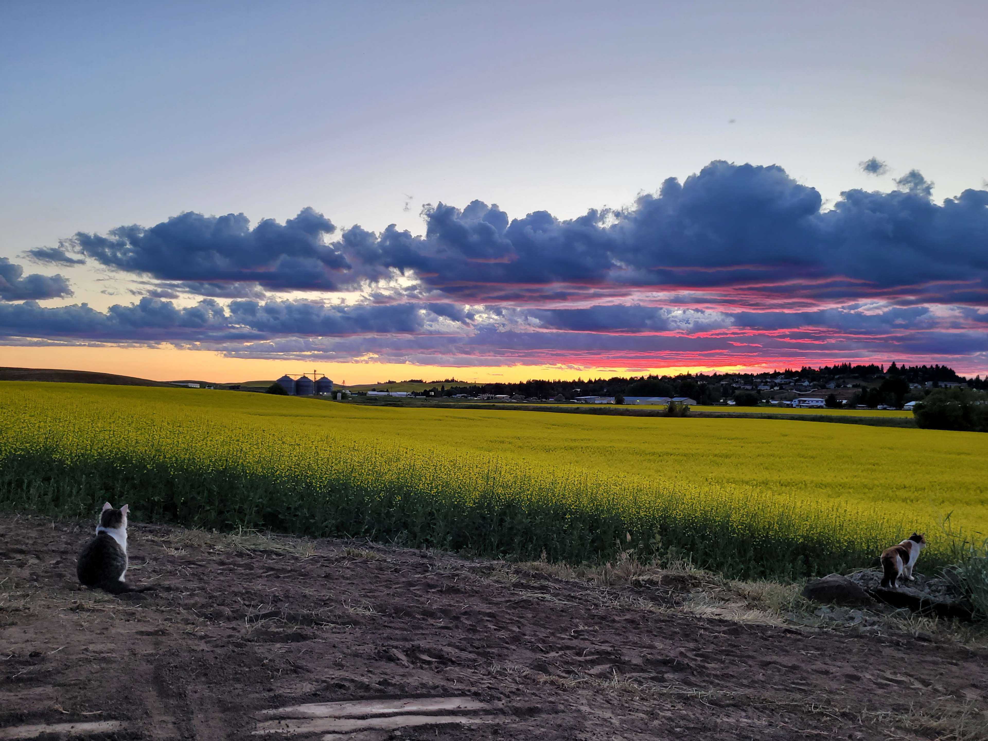 Convenient Palouse Paradise