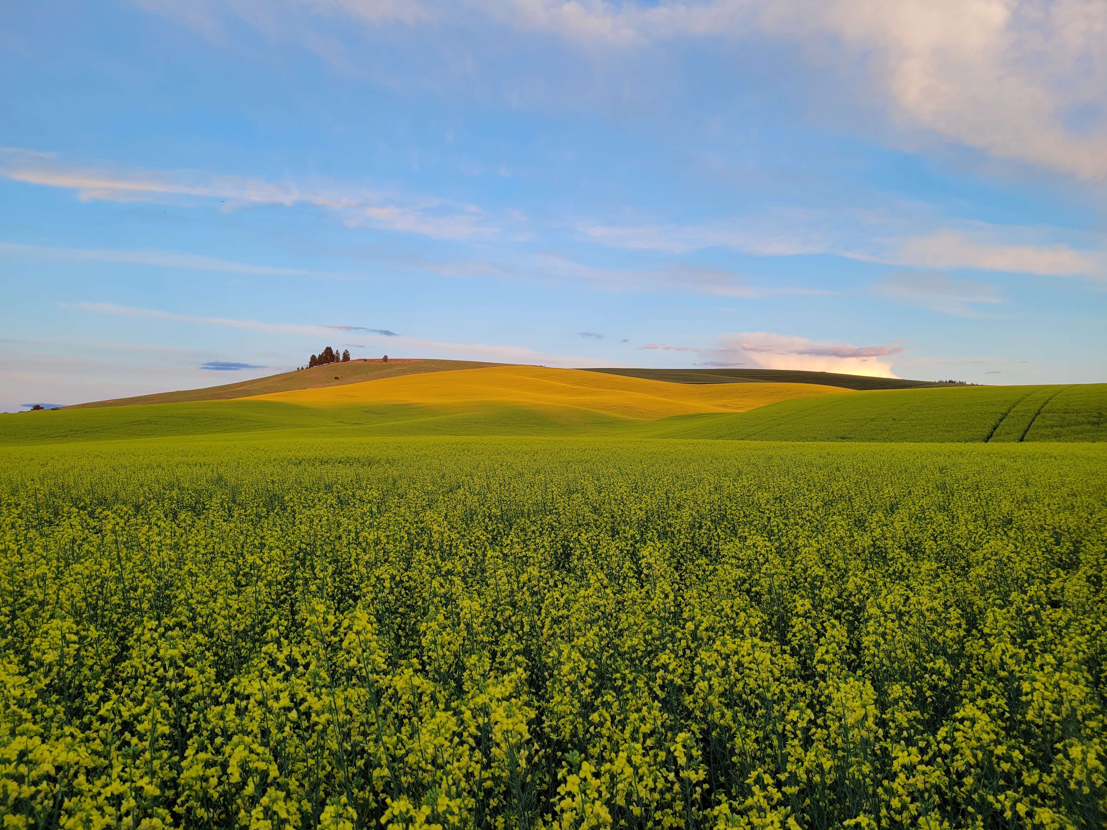 Convenient Palouse Paradise