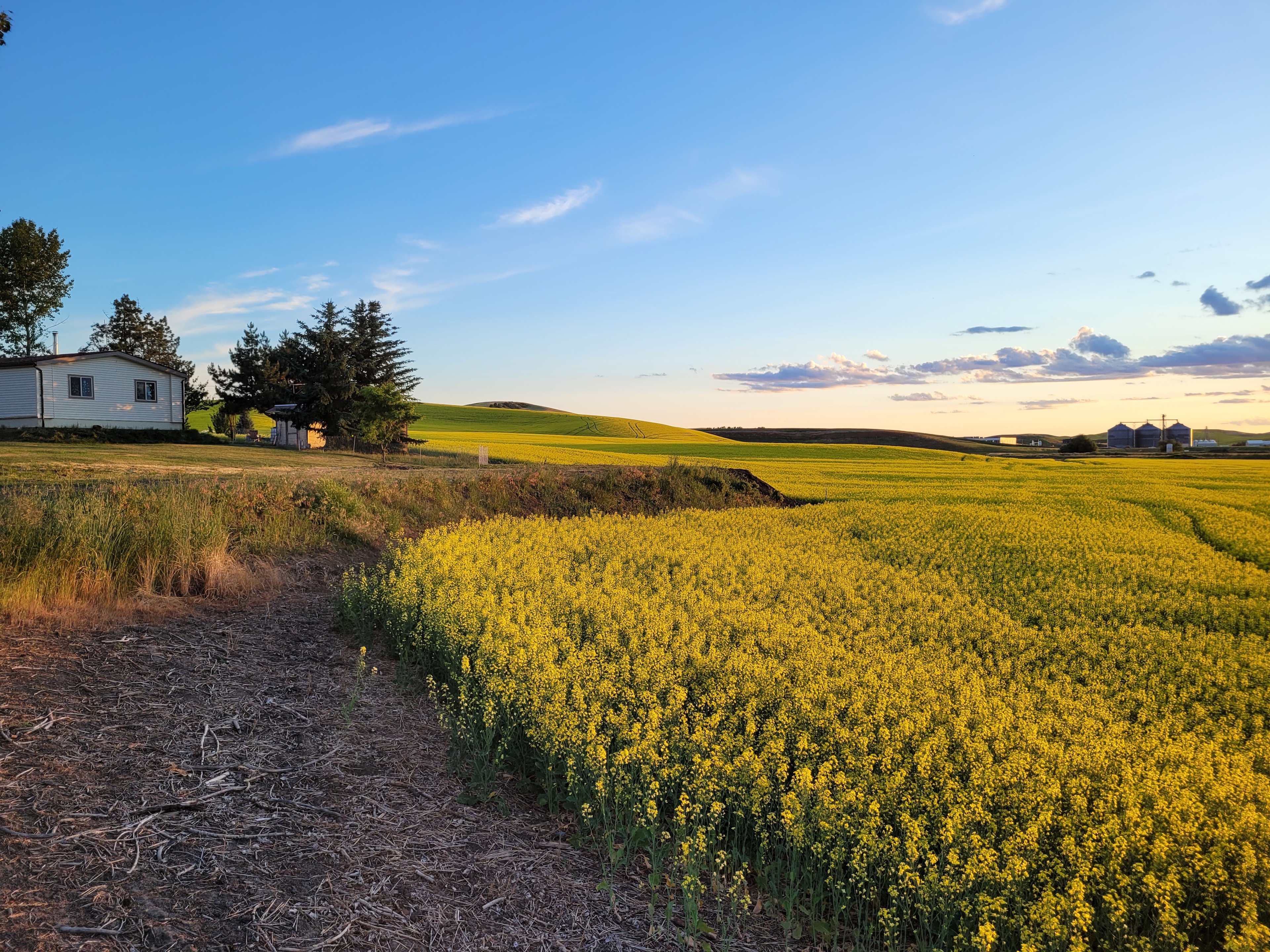 Convenient Palouse Paradise