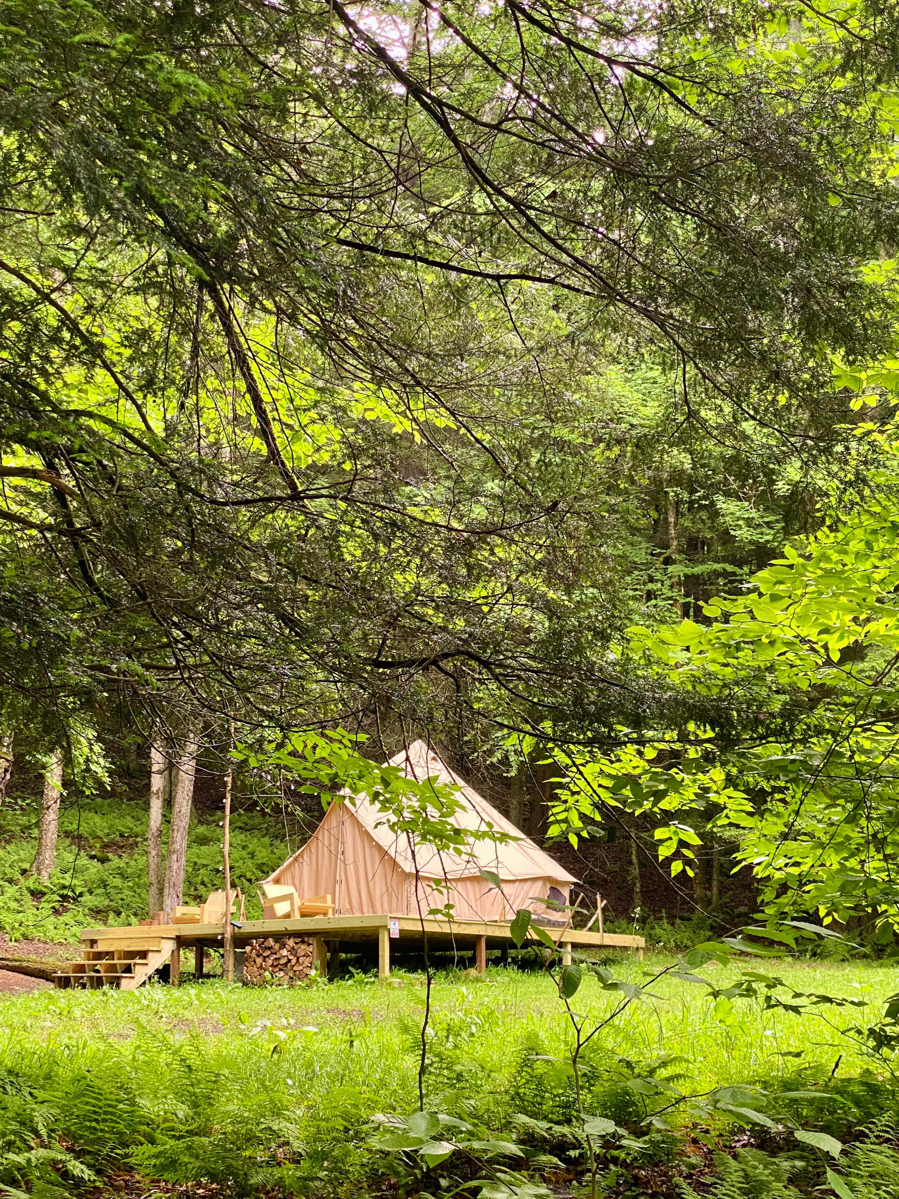 Camp site as seen from the road.