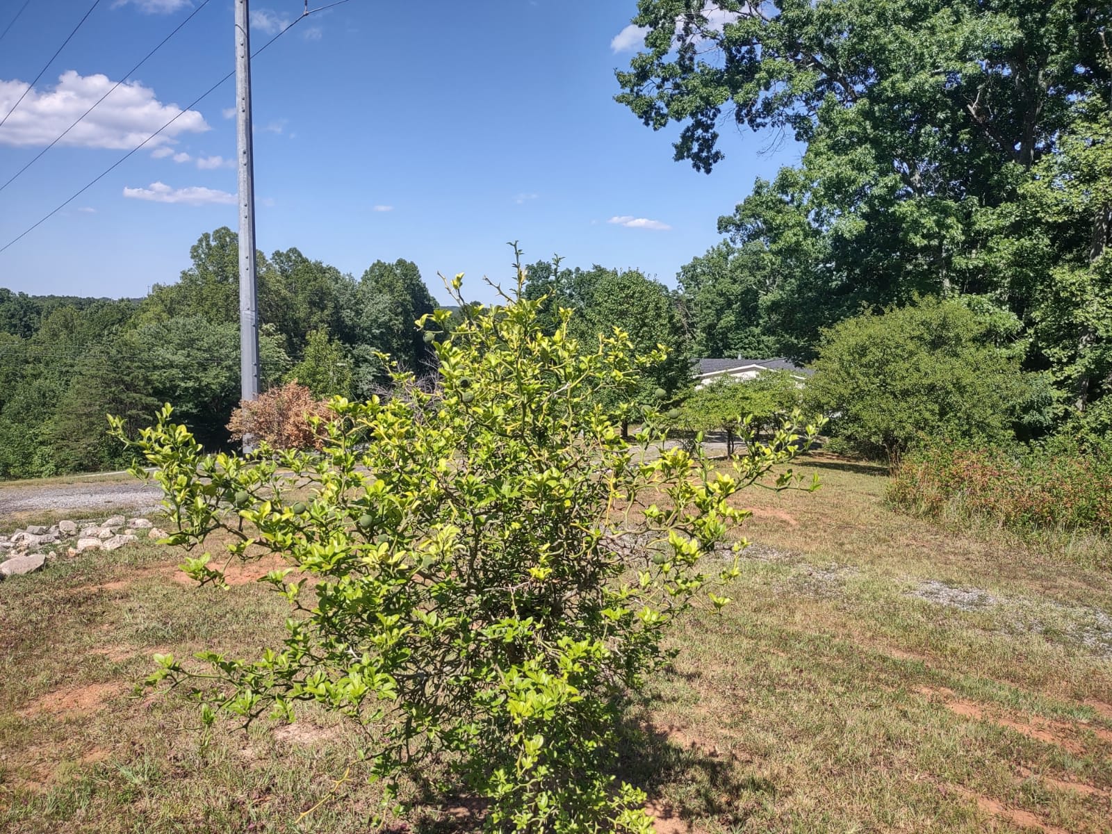 Park minutes from Hanging Rock Park