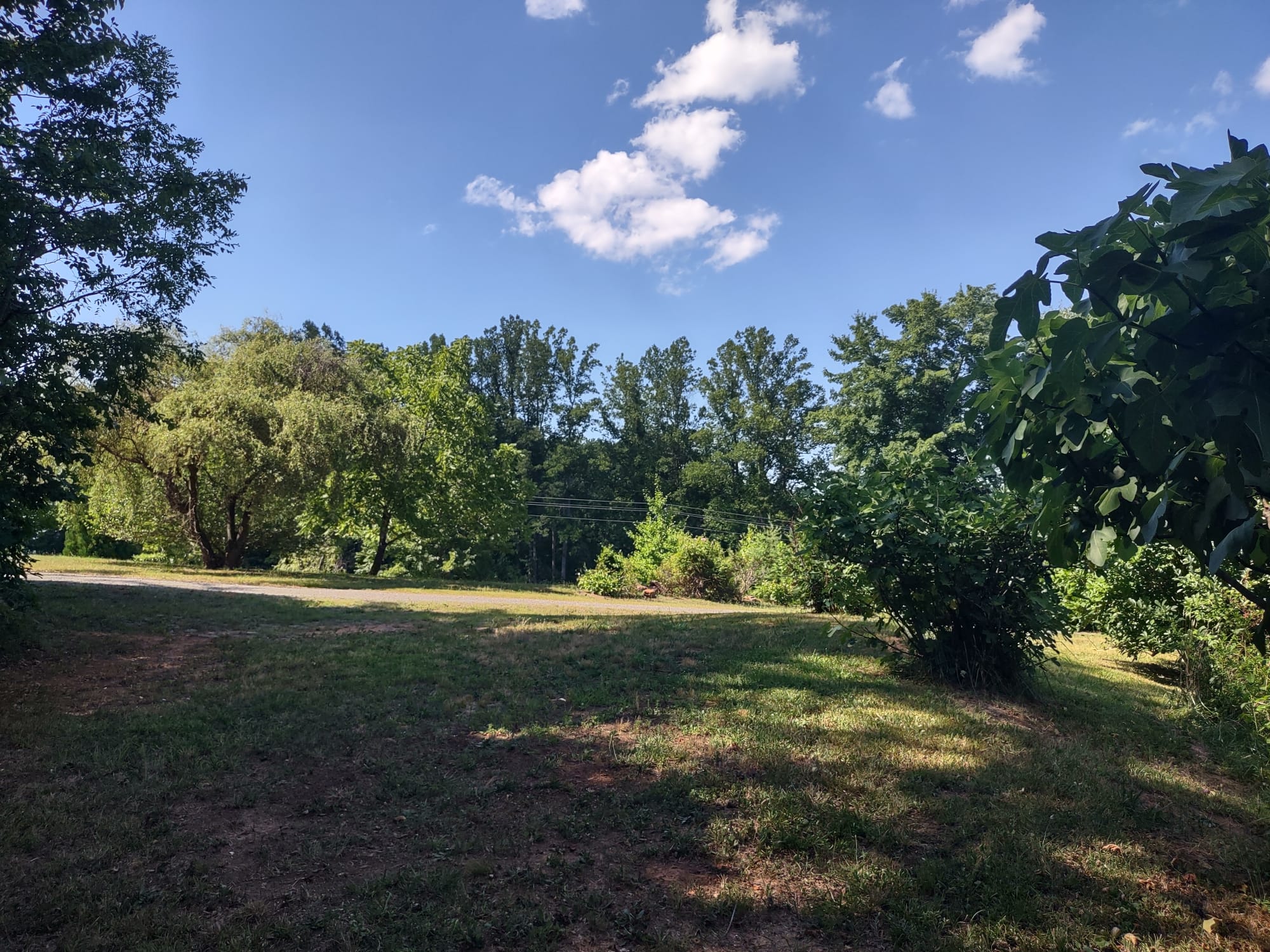 Park minutes from Hanging Rock Park
