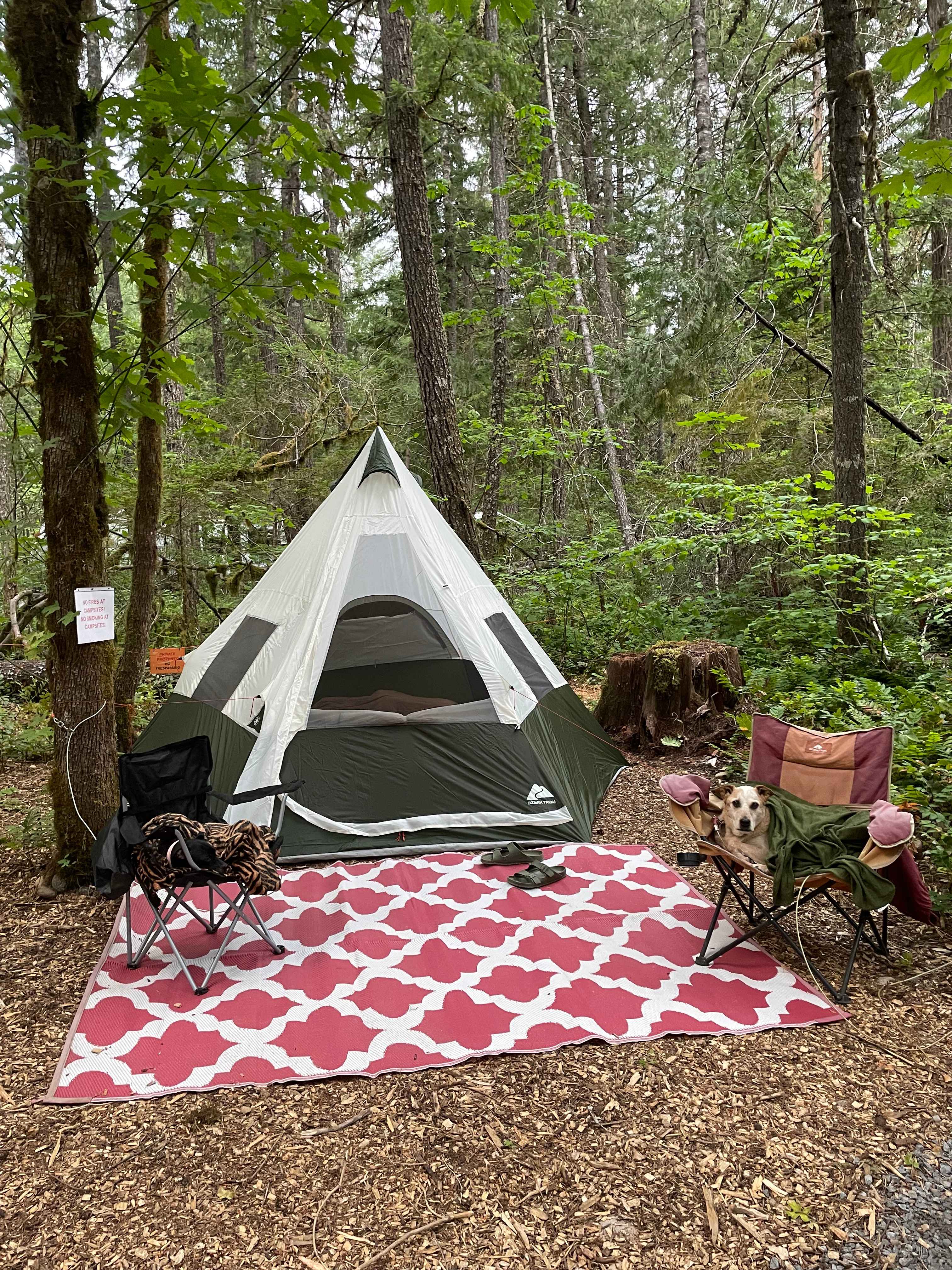 McKenzie River Forest Retreat