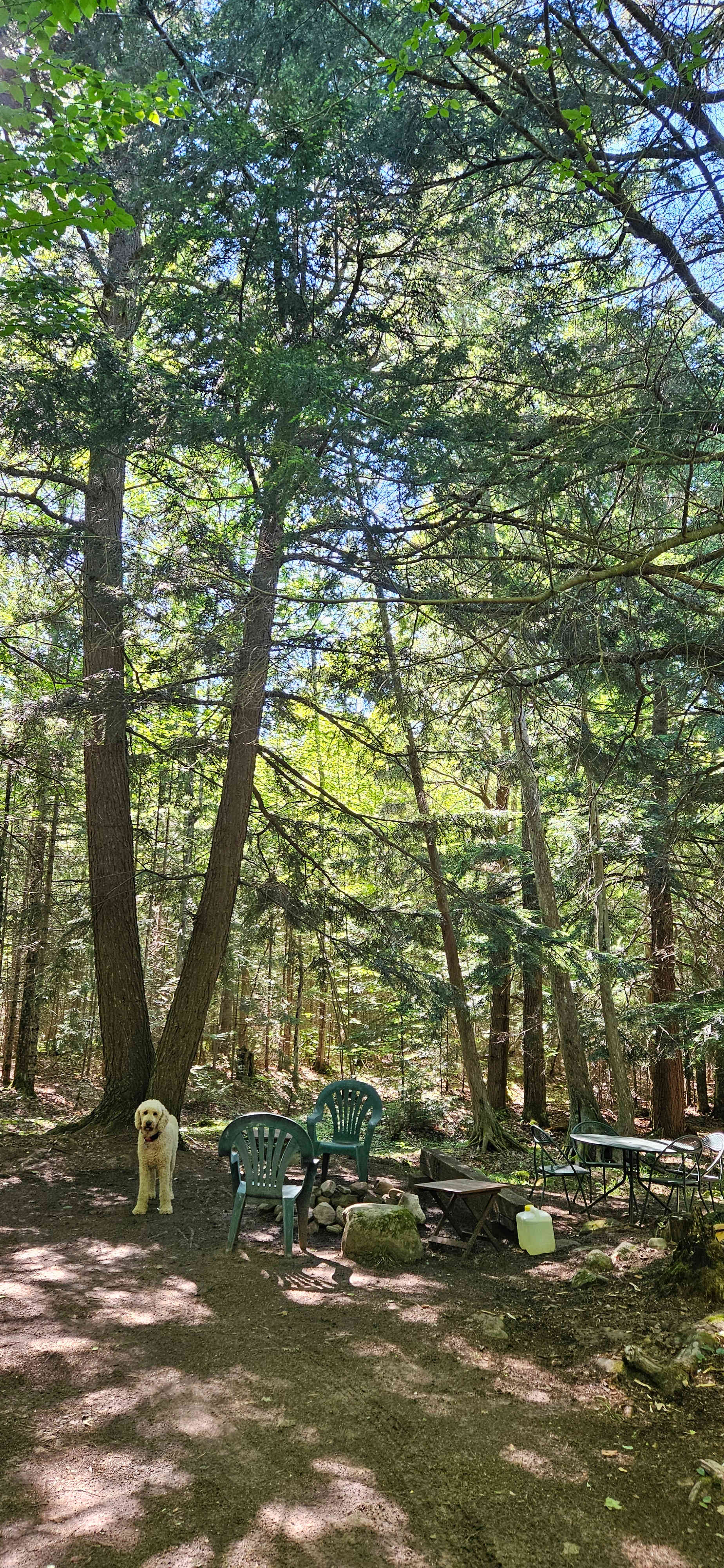 Wilderness Haven near Marquette Mi